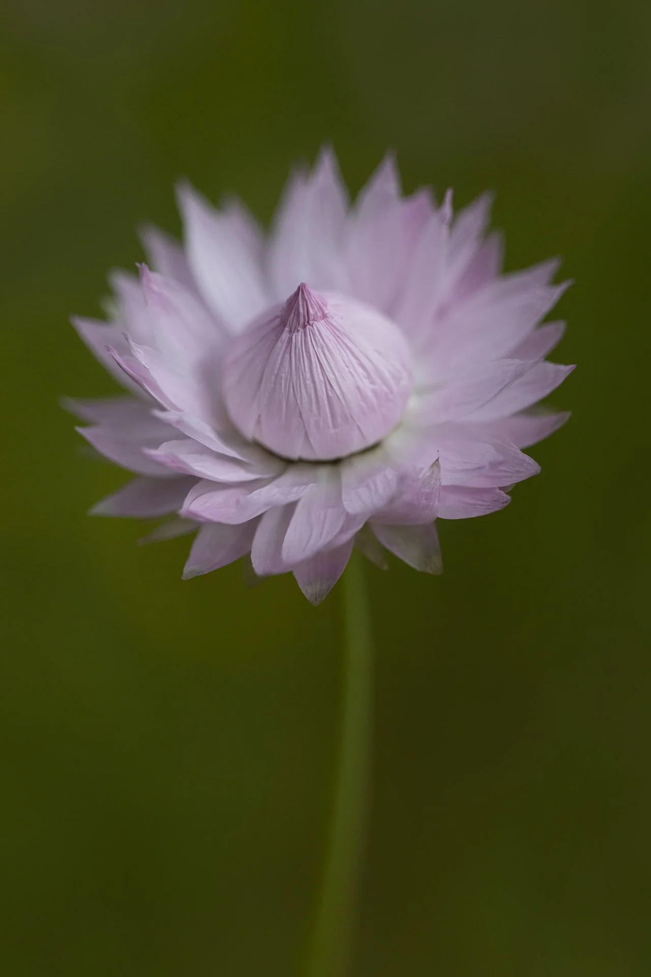 183A0454 r redo v2 19.jpg