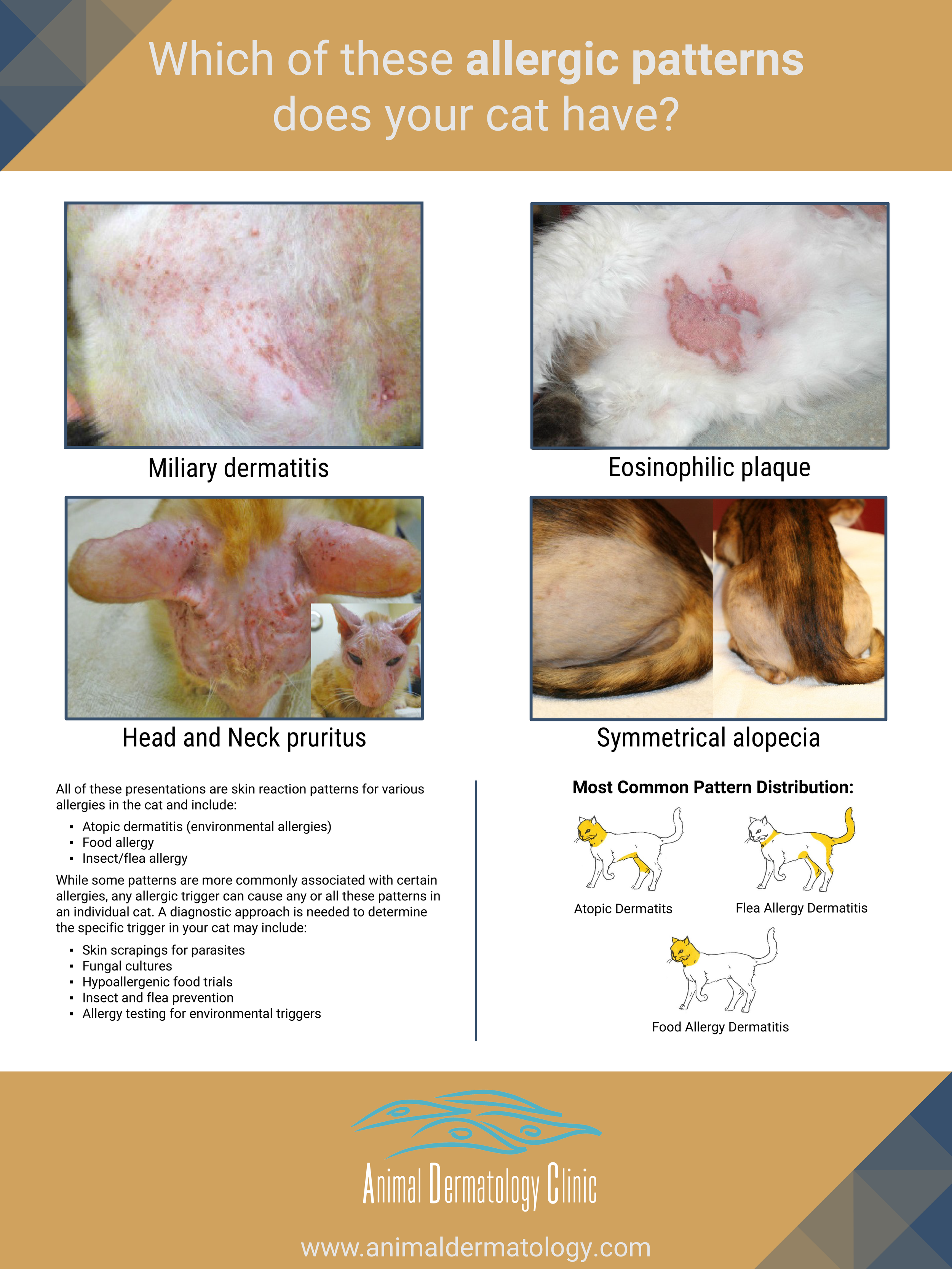 Cat Allergy Poster (Version 3)