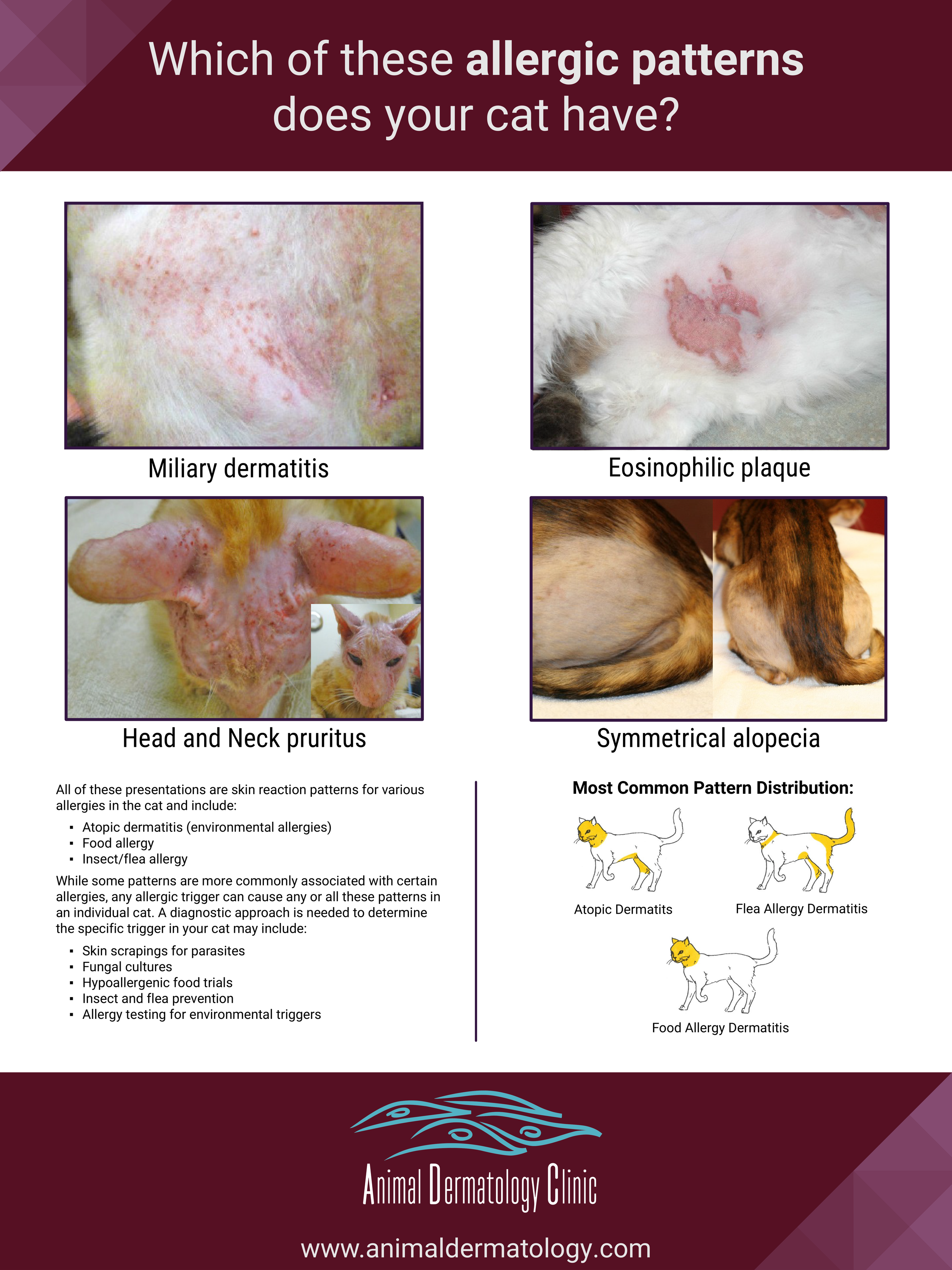 Cat Allergy Poster (Version 2)