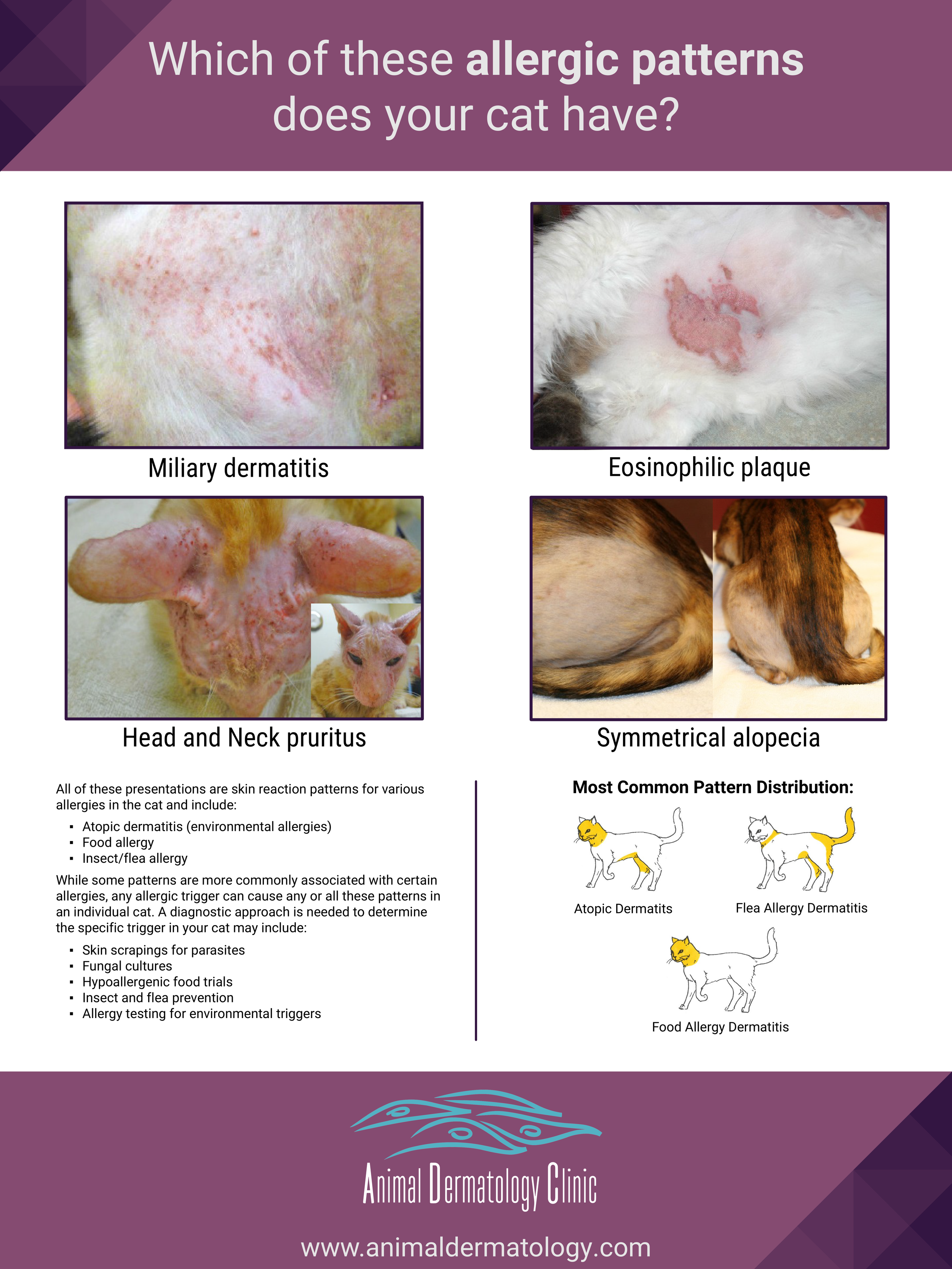 Cat Allergy Poster (Version 5)