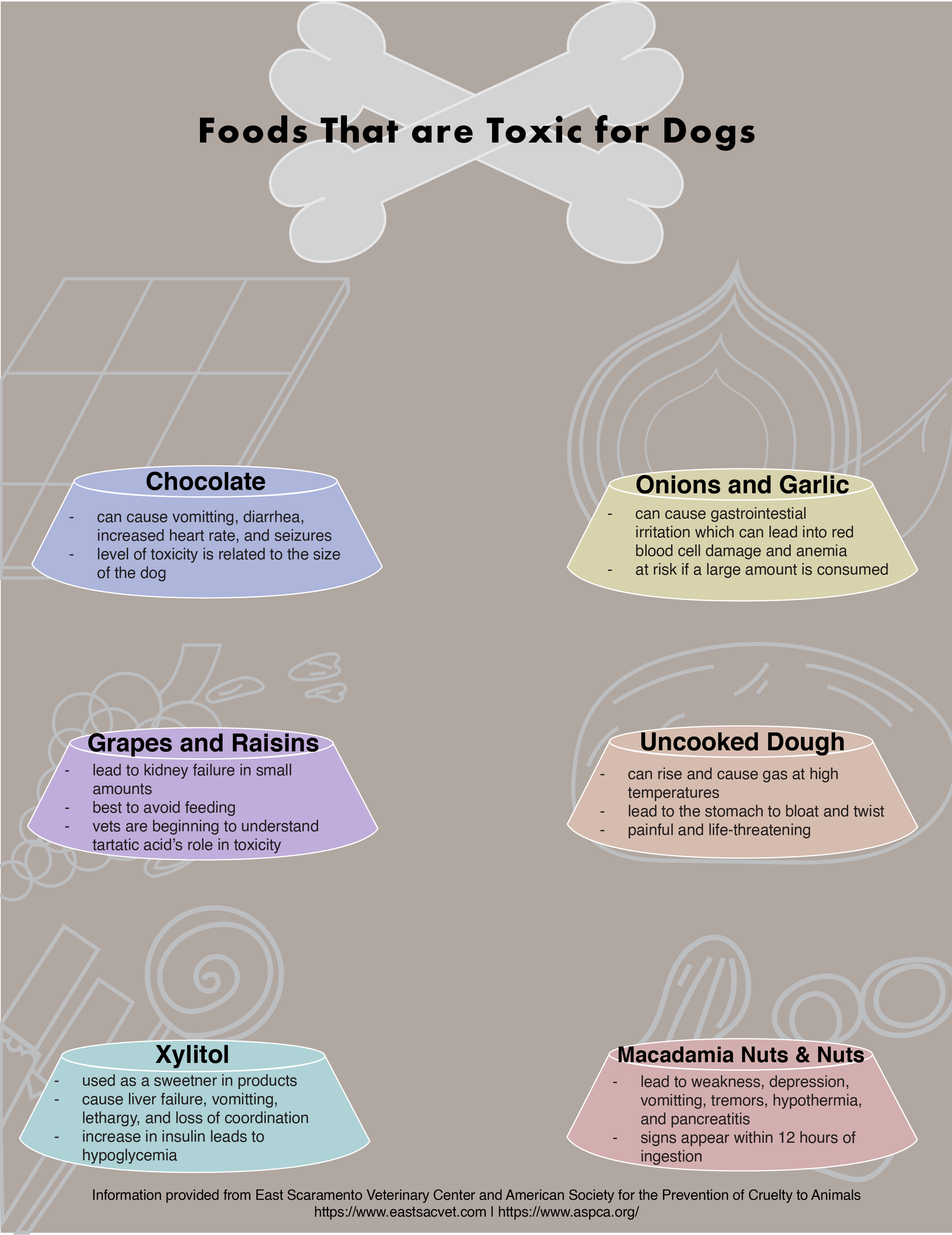 Toxic Foods for Dogs Infographic 2022
