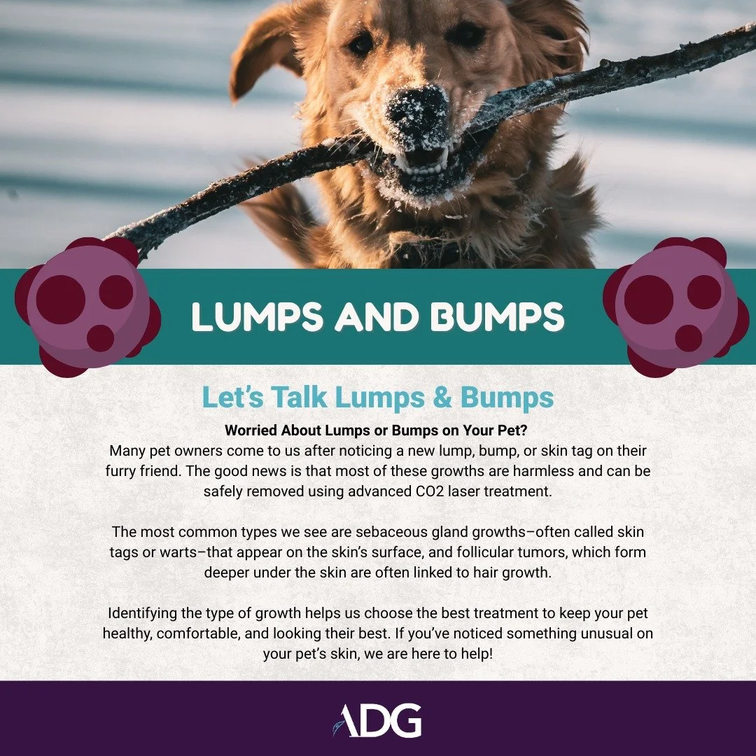 Critter Chronicles: Lumps and Bumps (Animal Dermatology Group, INC.)