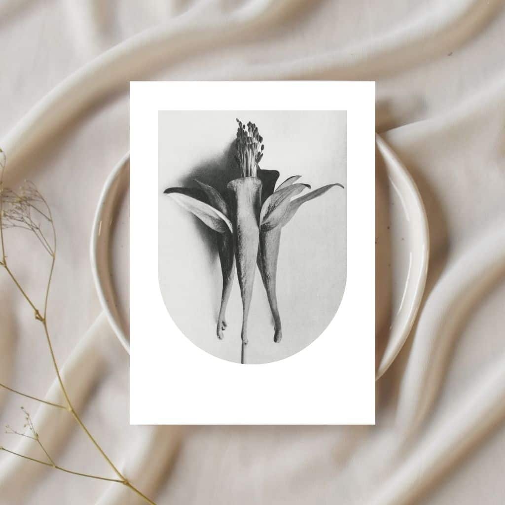 nu-collective-anthropomorphic-collection-wings.jpg
