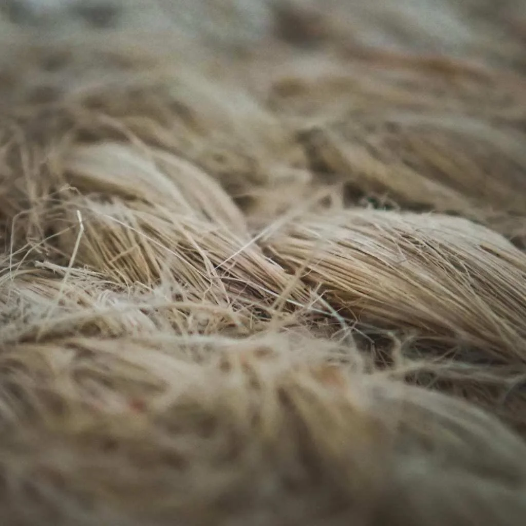 flax fibers.jpg