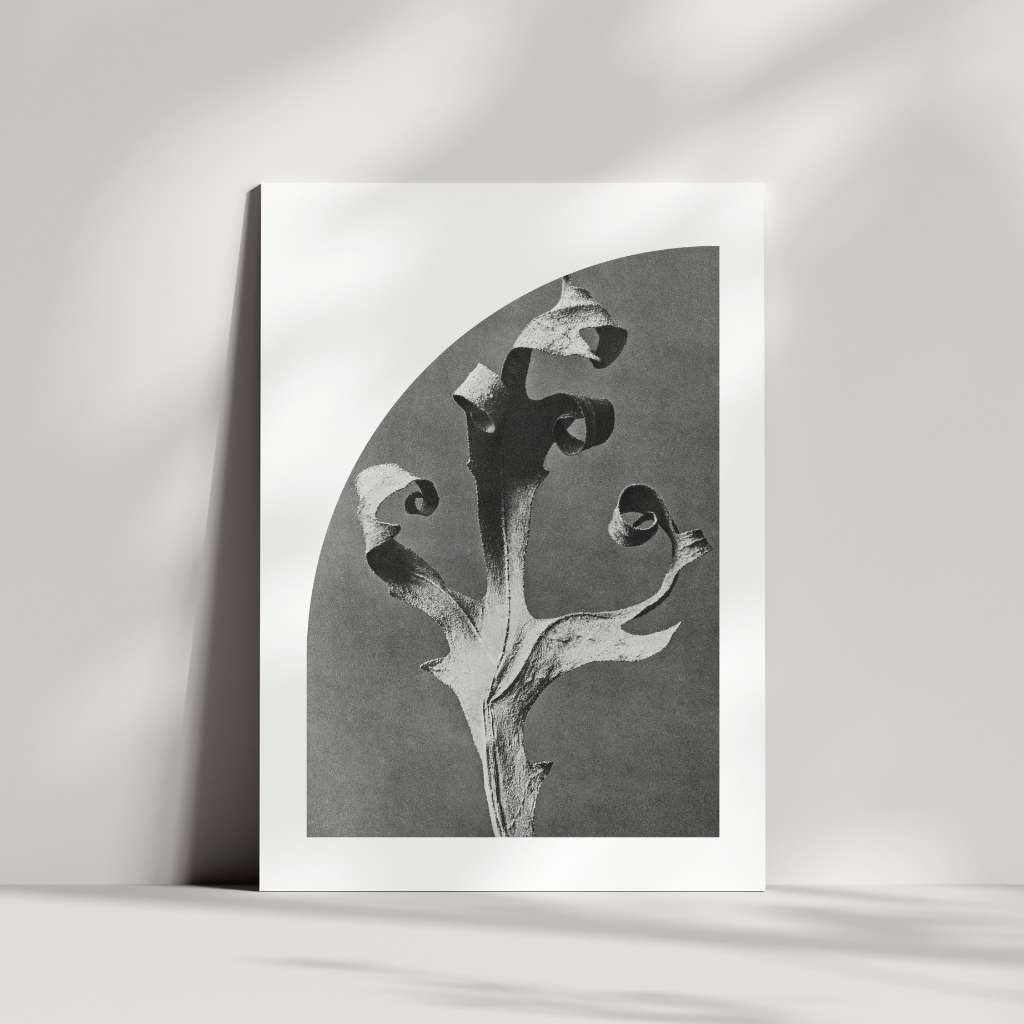 confident-nu-collective-greeting-card.jpg