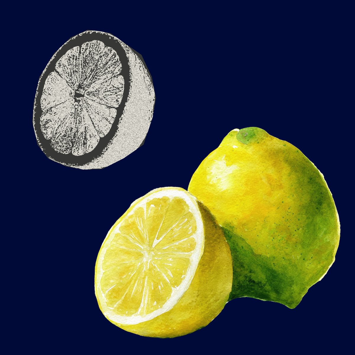 Stippling Technique Activity