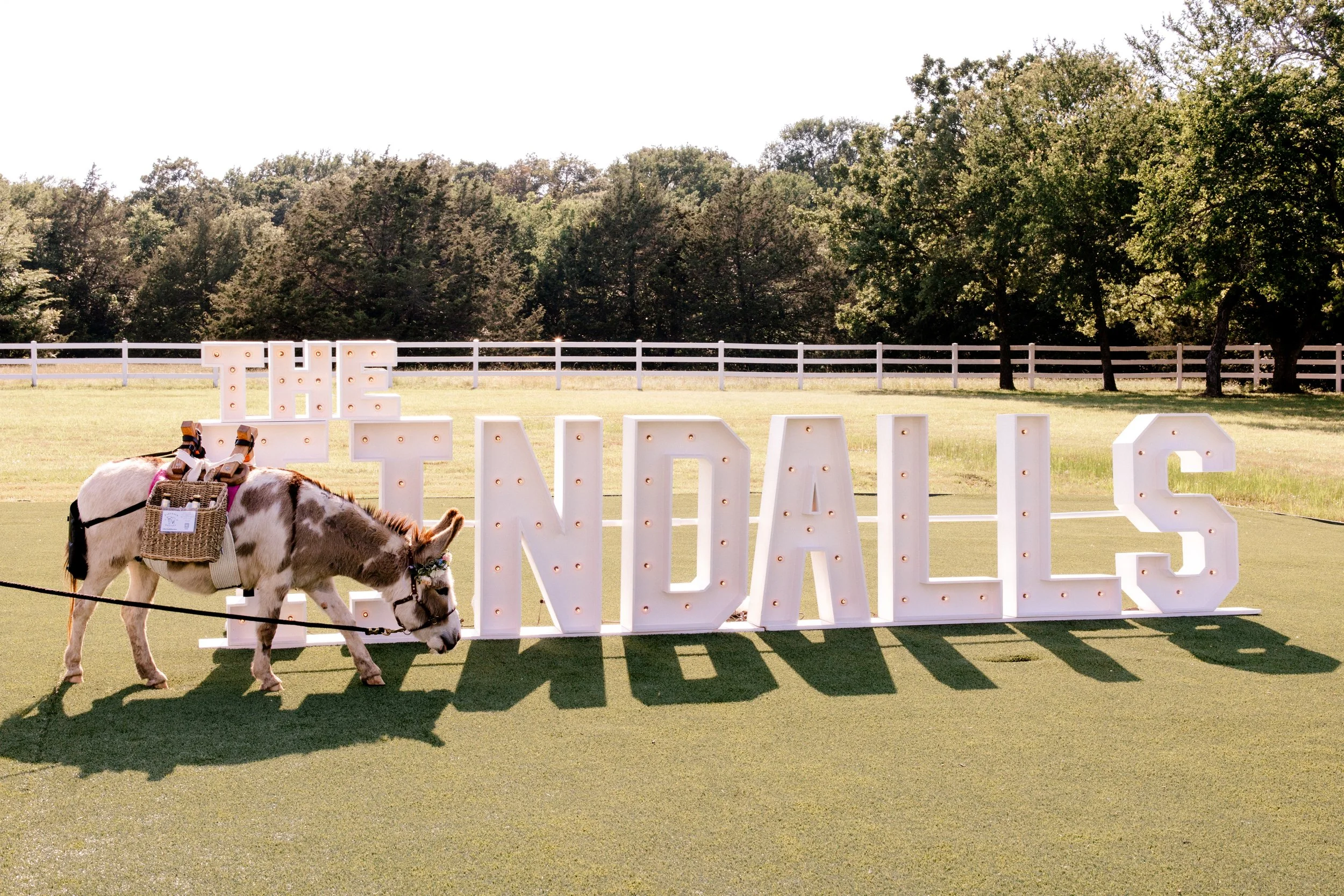marquee letters