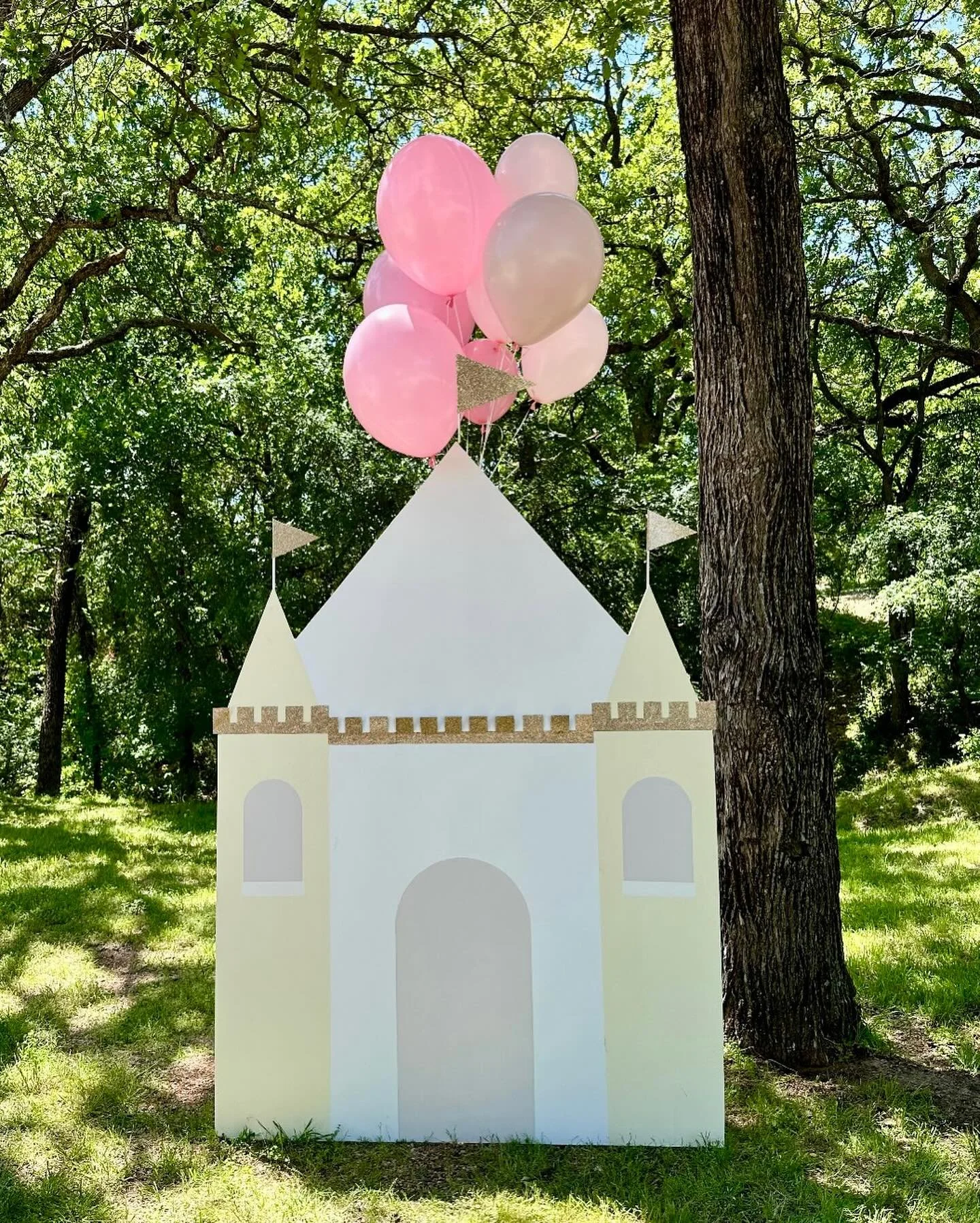 castle backdrop with helium