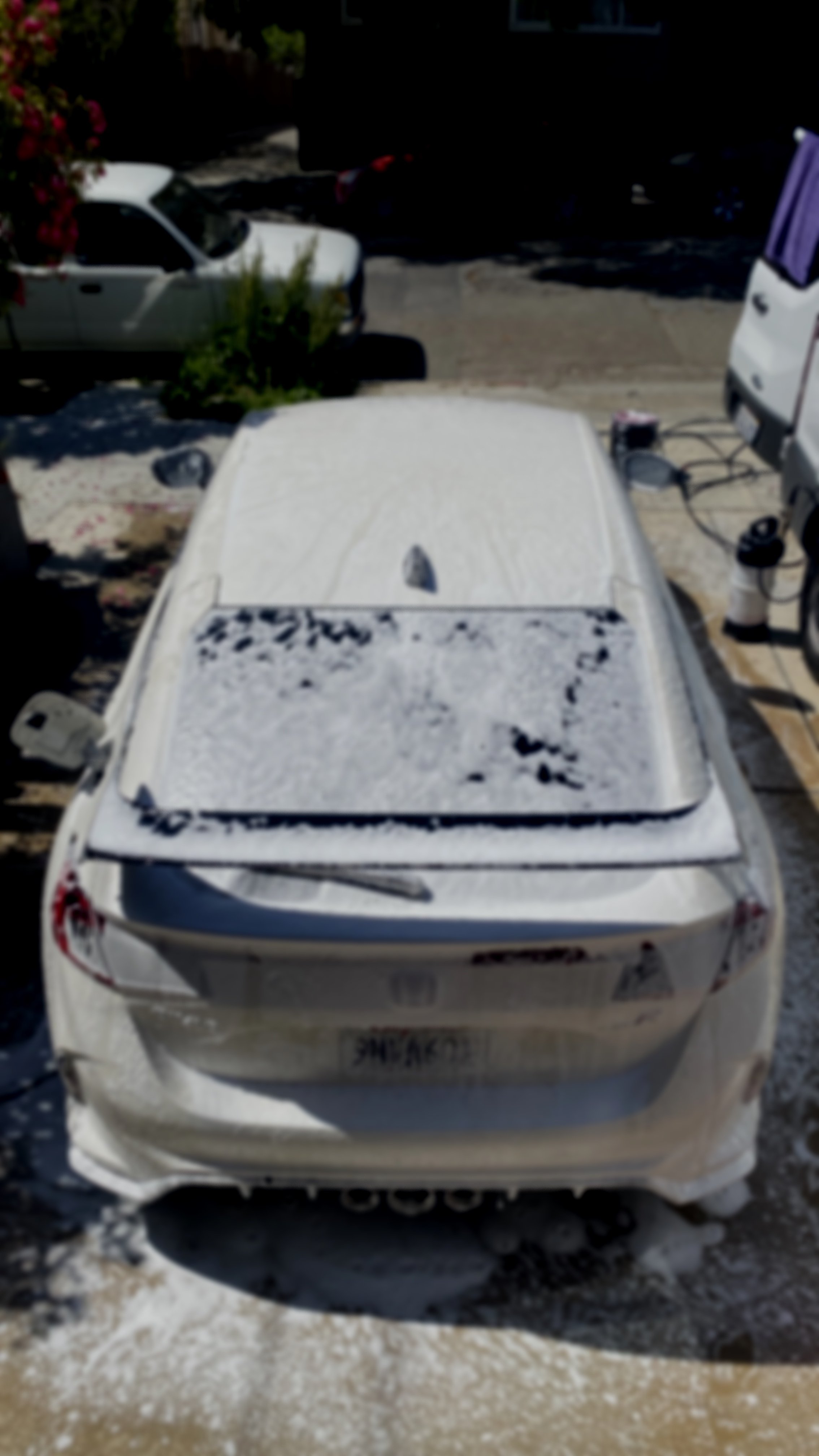 A picure capture of Panda Mobile Auto Detail in the Sunnyvale California area