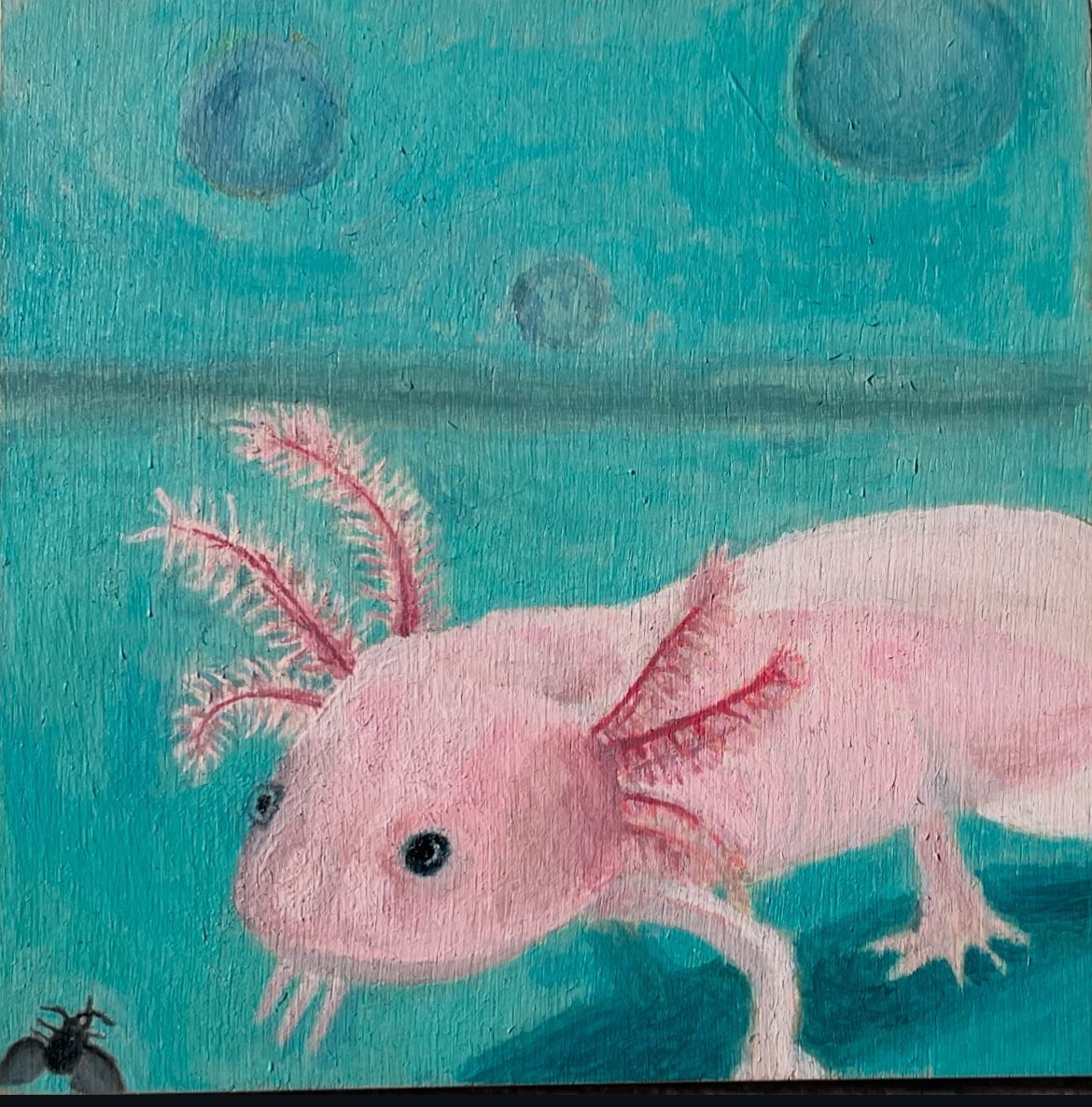 Axolotl & Fly
