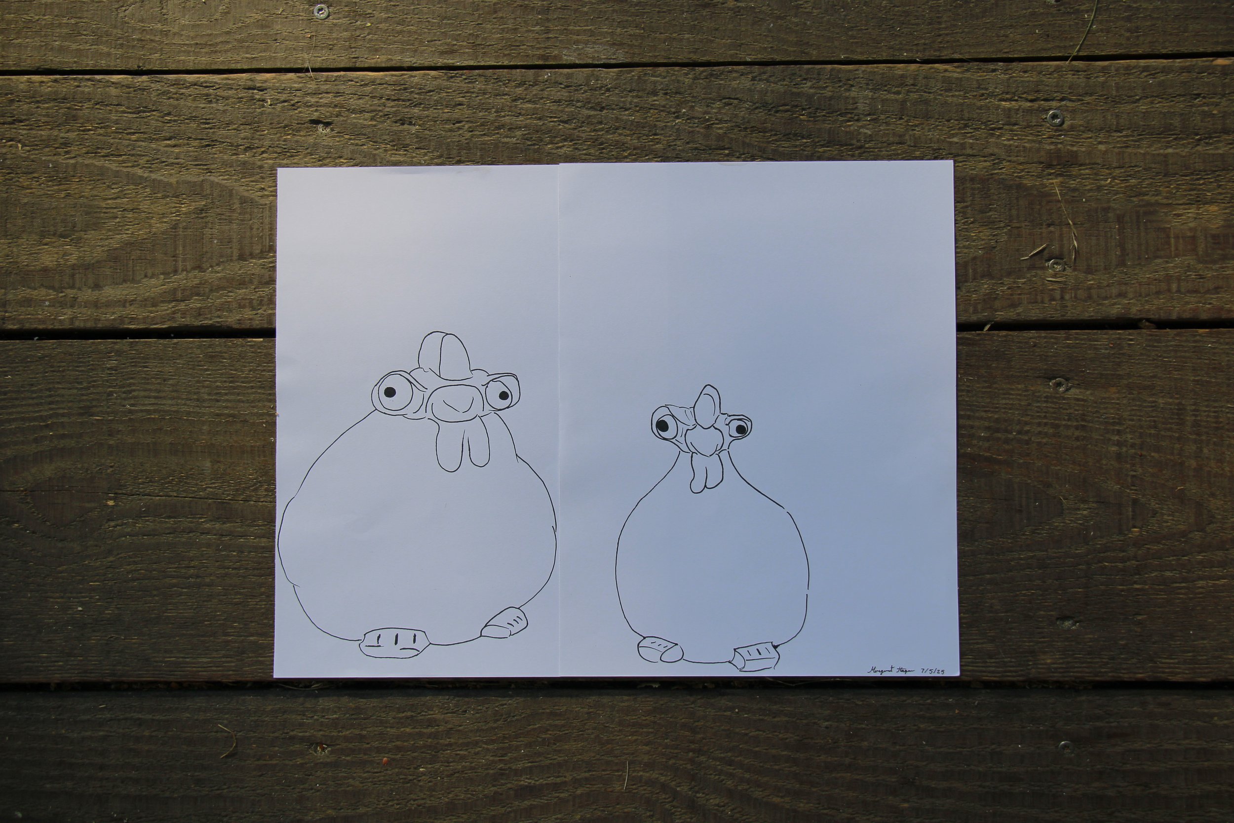 Megan's Chickens closer.JPG