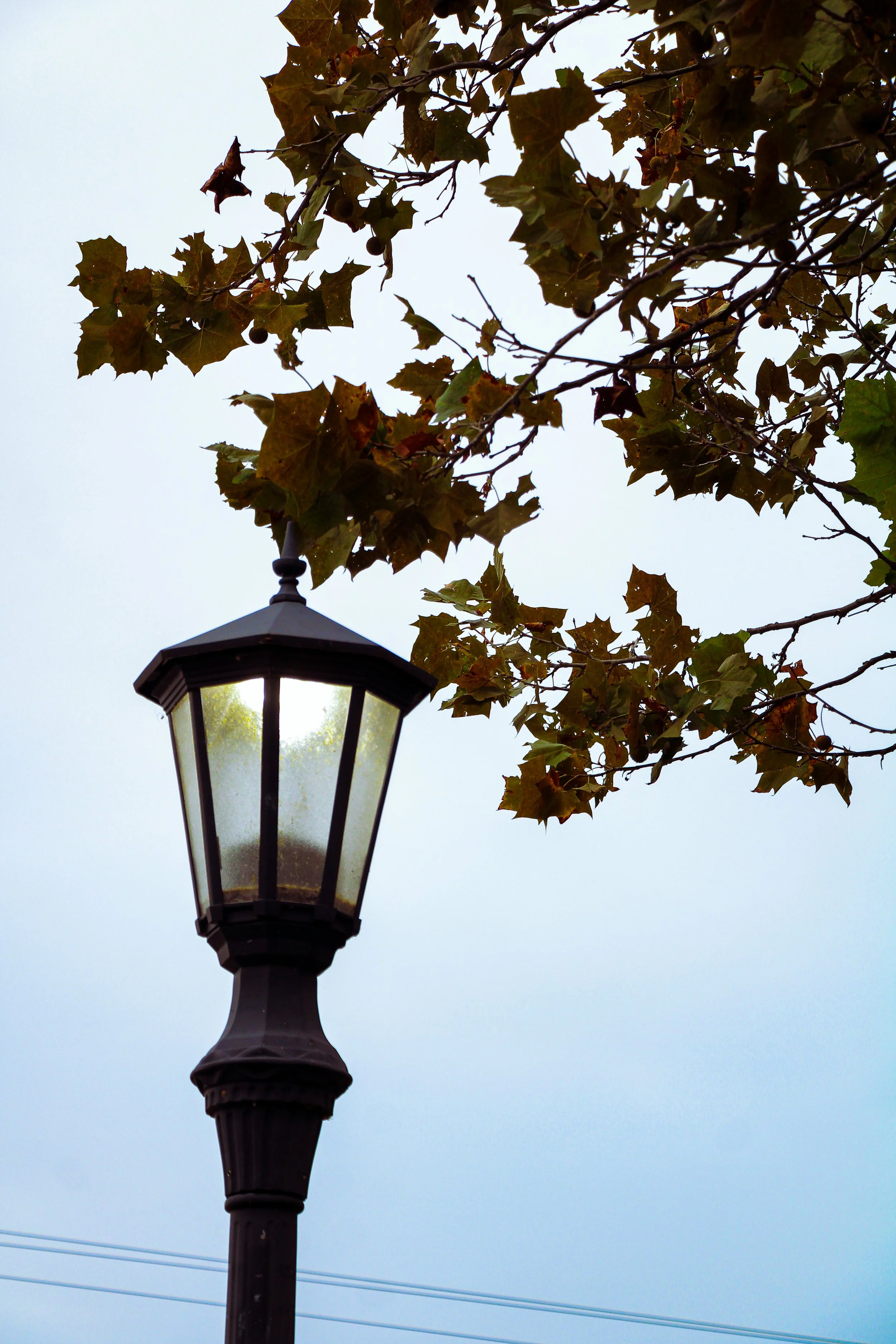 Fall Light Post