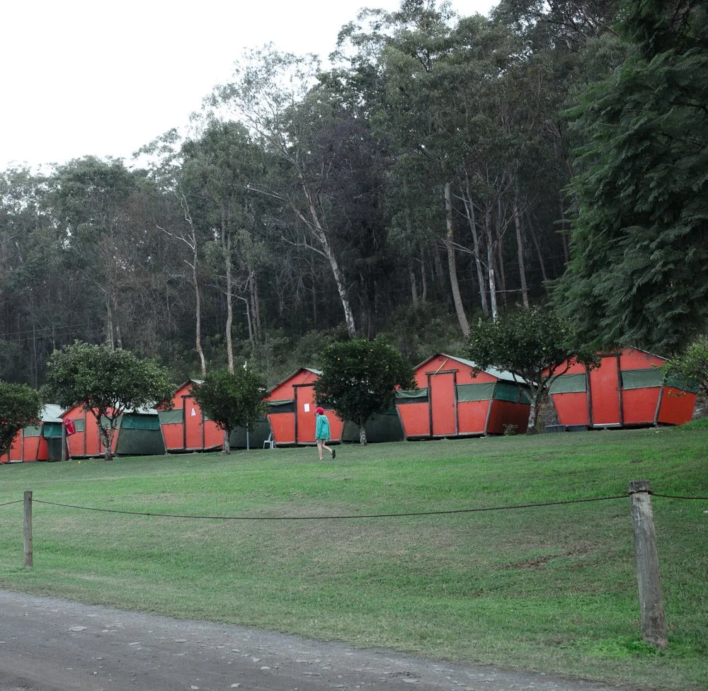 cabins_1.jpg