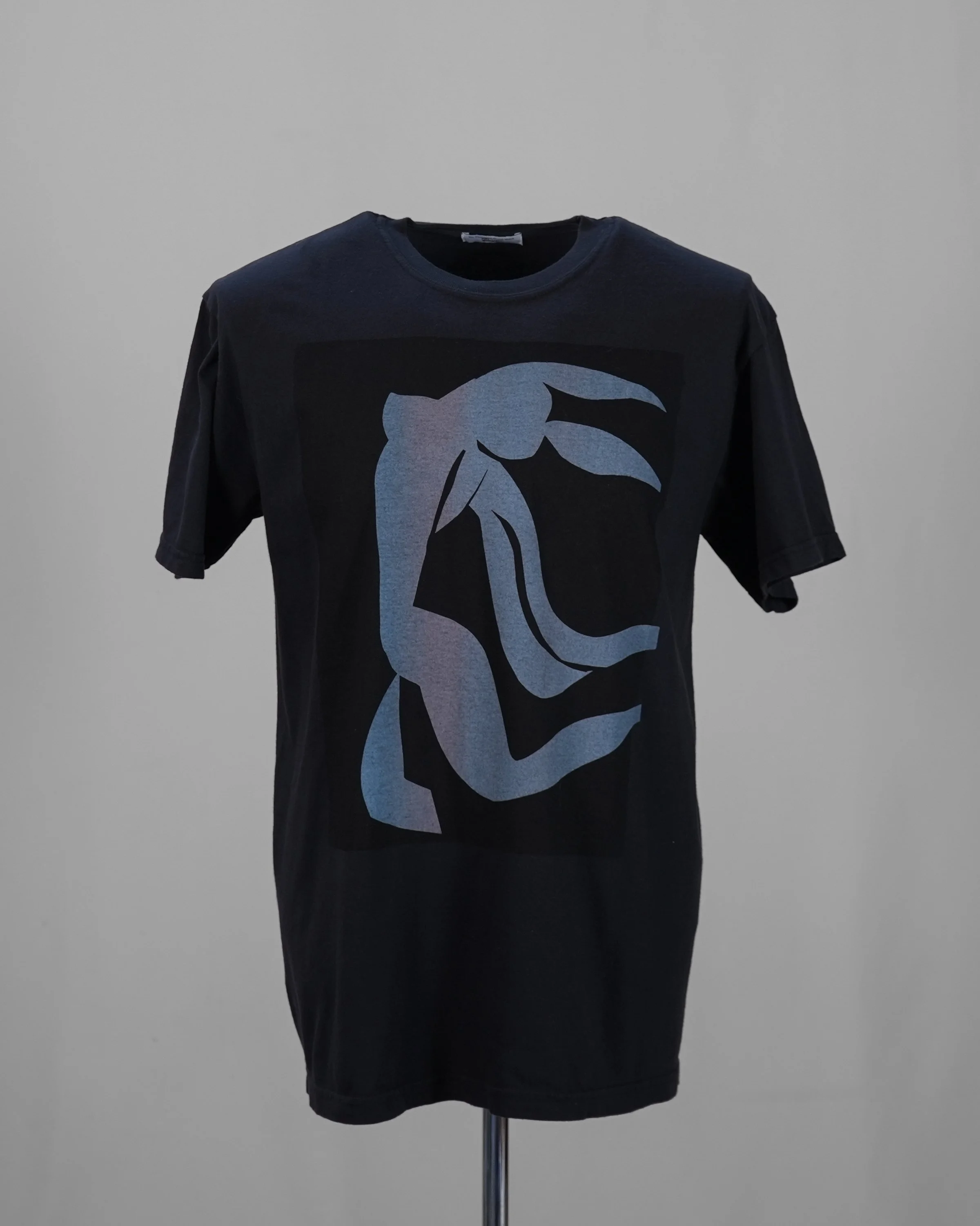 After Matisse - Number 781