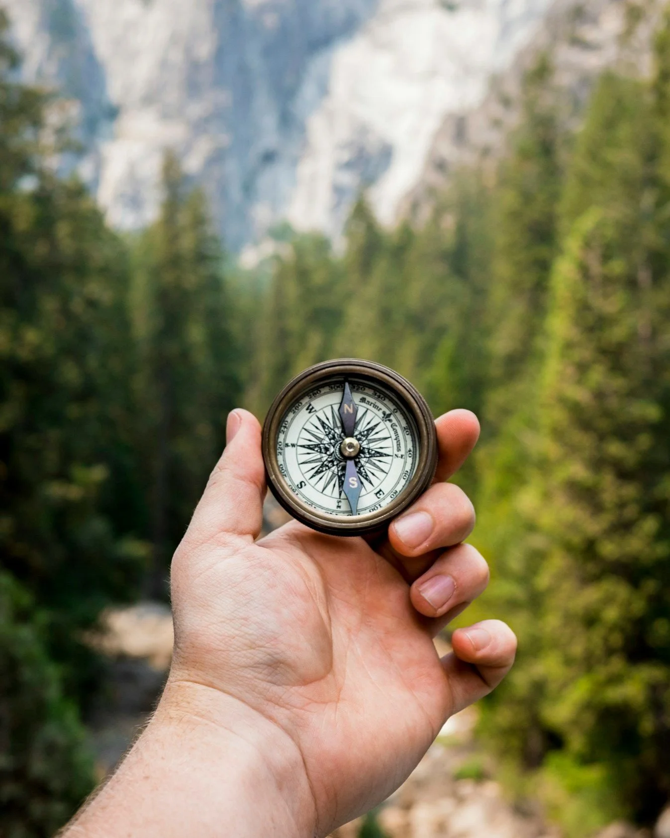 A hand holding a compass in front of a forested mountain landscape with trees and rocky cliffs.