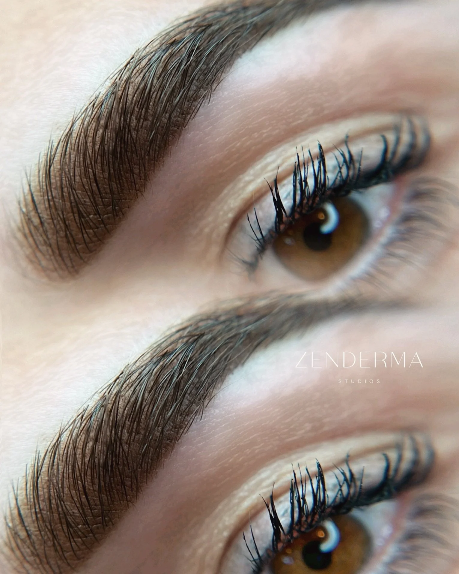 Close-up of well-groomed eyebrows and eyelashes with a focus on the eye's detail, showcasing eyebrow and eyelash enhancement. Text overlay: "Zenderma Studios."