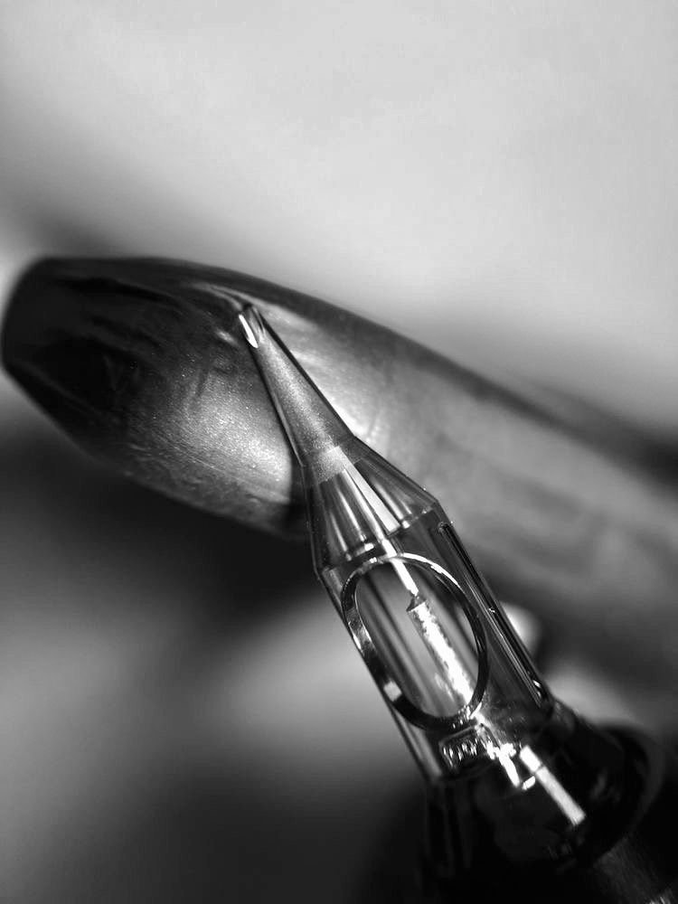 Close-up of a tattoo needle against a blurred background, showing the needle's fine tip and clear casing.