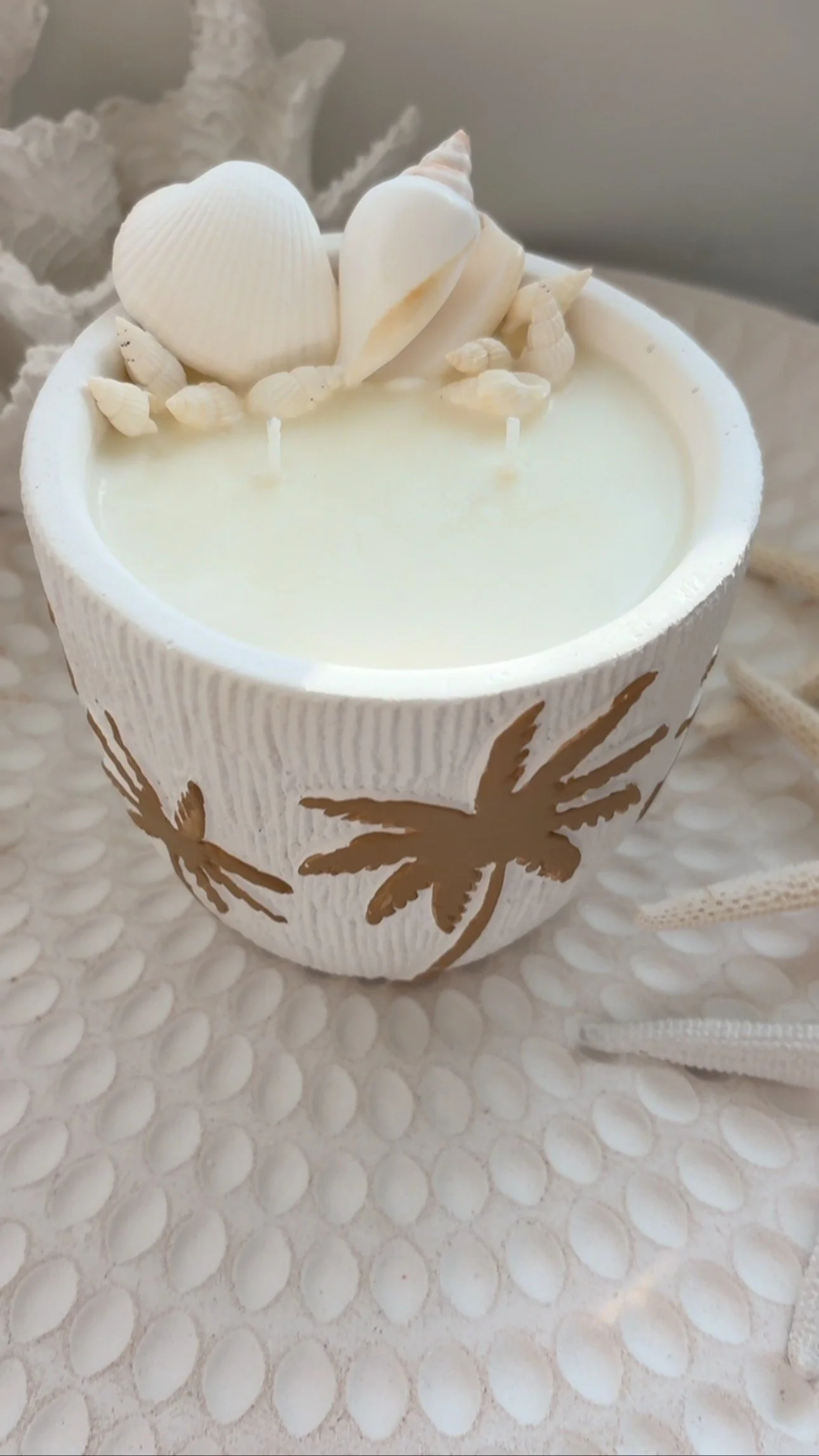 β¨COASTAL VIBES IN A JAR β¨ Our Coastal Palm candle is now available with the option to add hand-picked shells ππ΄ 400g of creamy soy wax, double wicked for a strong, even burn. She’s beachy, she’s luxe, and she’s available now!
Ple