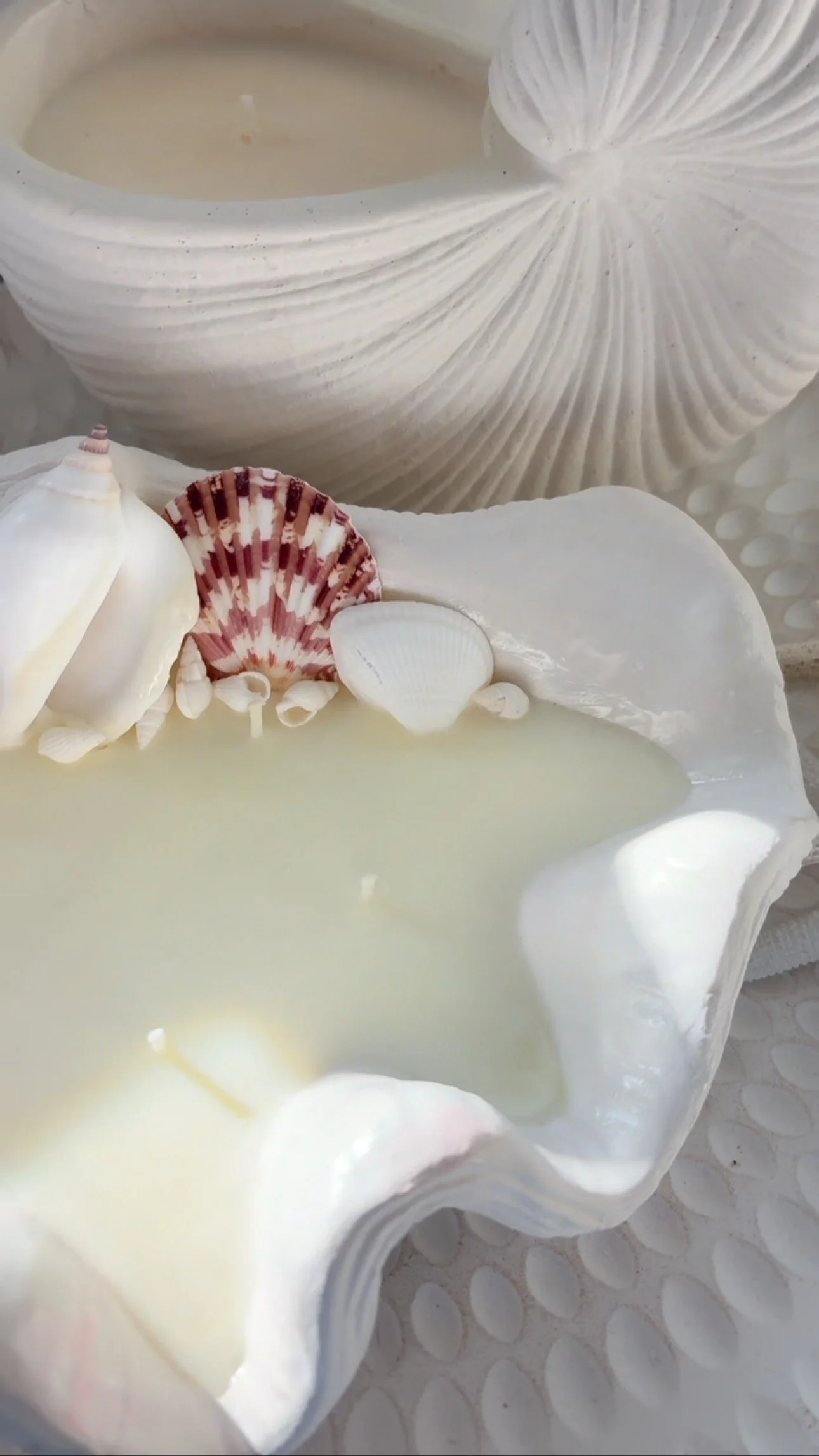 Our handcrafted Clamshell Statement Candle is a coastal dream π
Choose your fave scent + add gorgeous shells for that perfect beachy touch π
Great as a gift or a luxe decor piece for your home!
Shells must be removed before burning.
#CoastalDecor