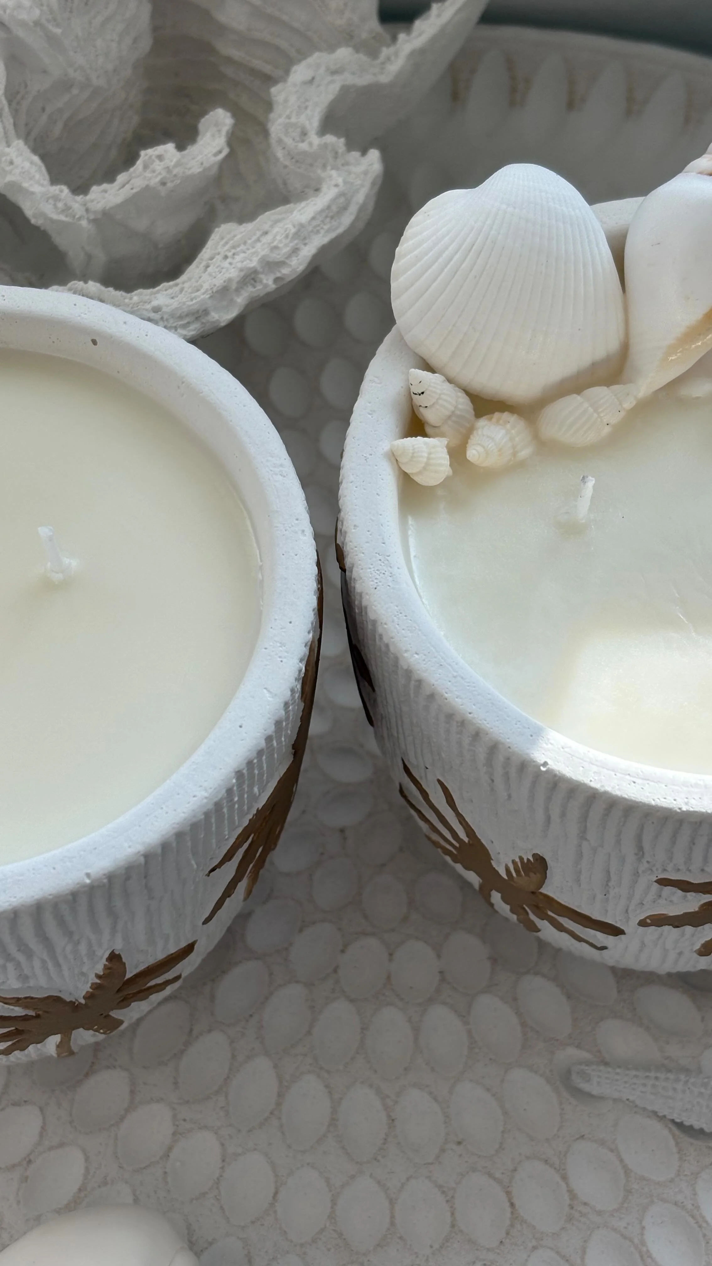 Say hello to the candle that’s capturing hearts up and down the coast. Our Coastal Palm candles aren’t just a pretty face, they bring those breezy, beach house vibes to any space. Hand-poured with pure soy wax and your choice to be topped