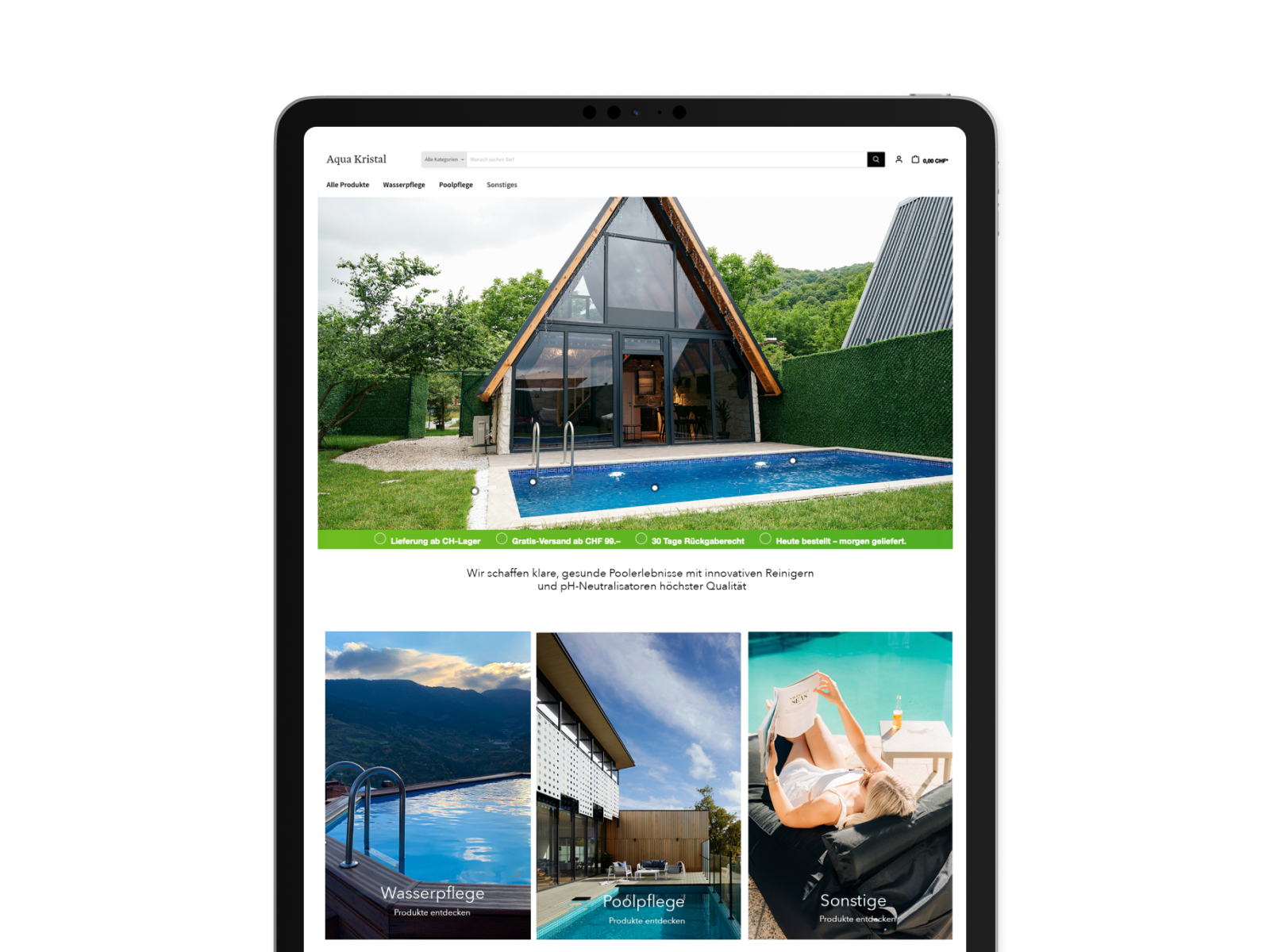 Pool Reinigung und Pflege