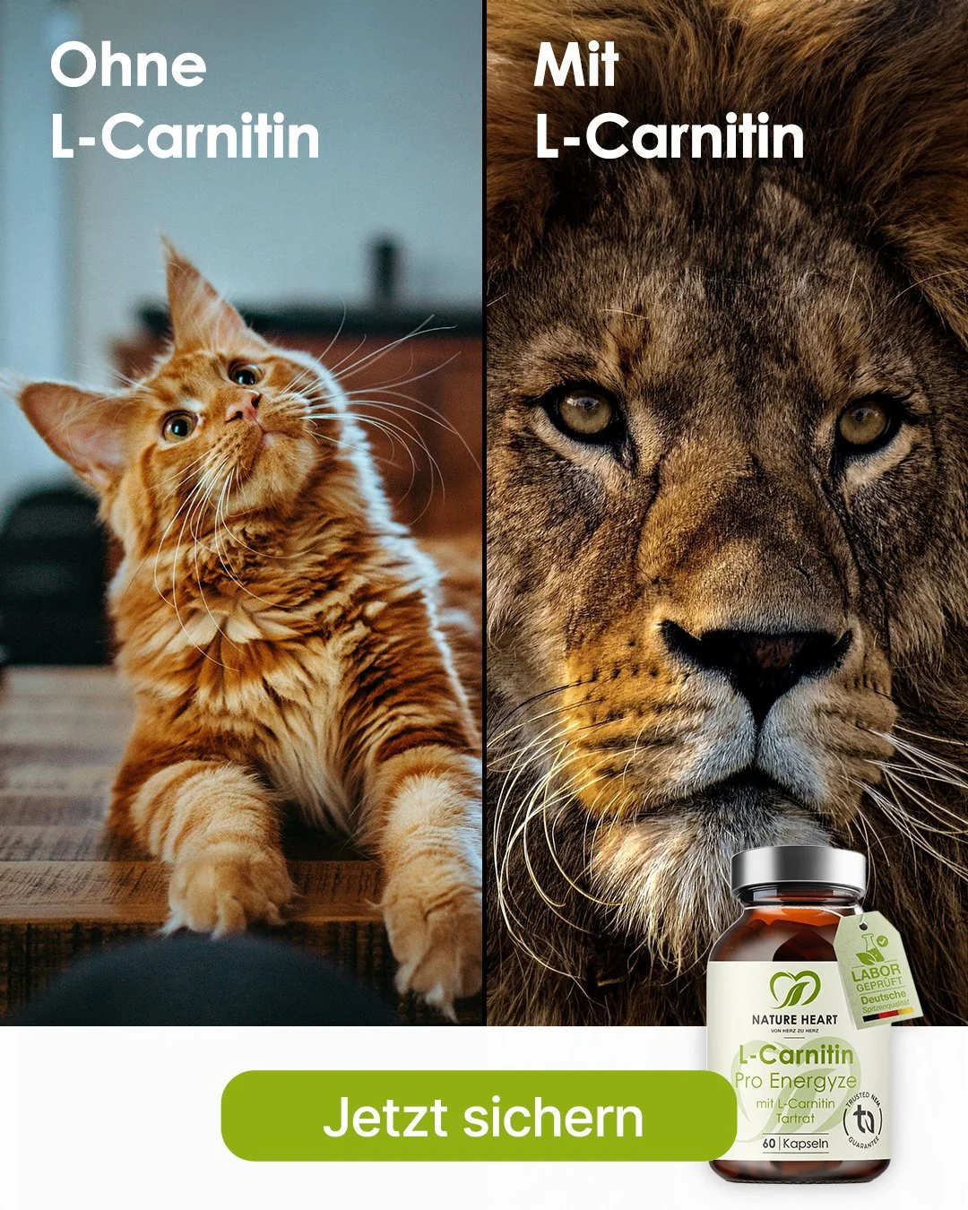 L-Carnitin Before After 2.jpg