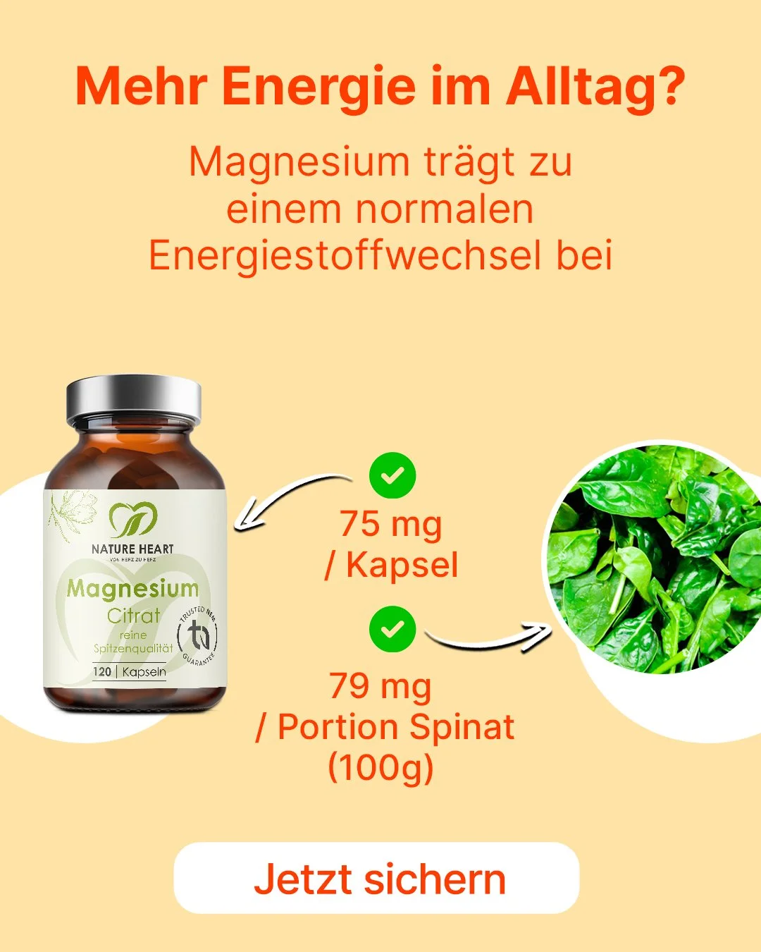 Magnesium 1 a.jpg