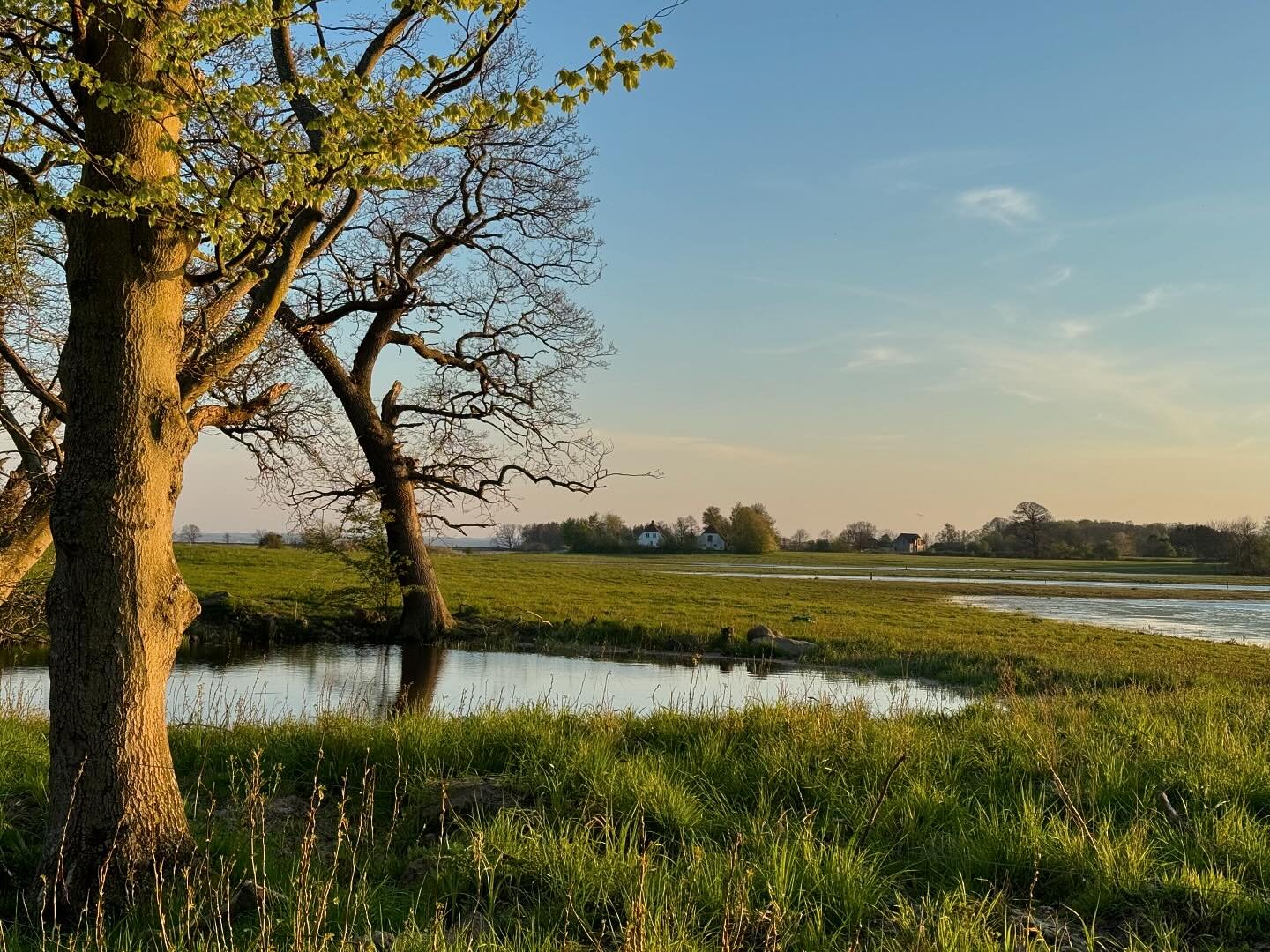Maj 🌳🤩🙏