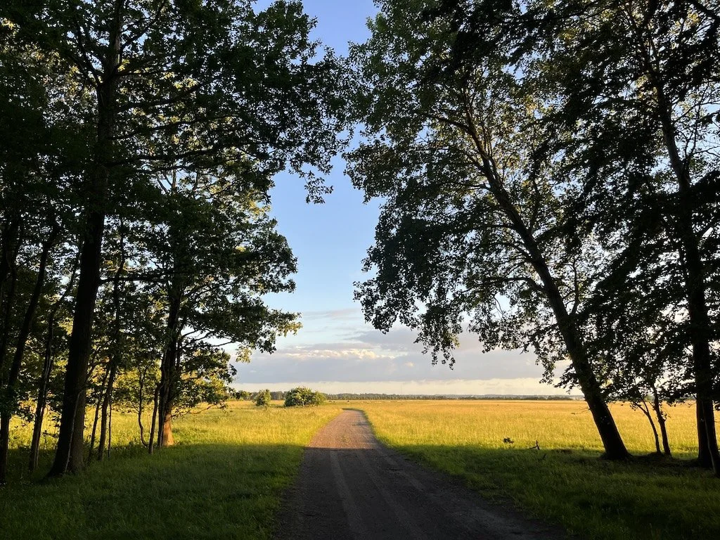 Oplev naturen på Strandegård og Feddet – 1300 hektar skønne naturoplevelser.
