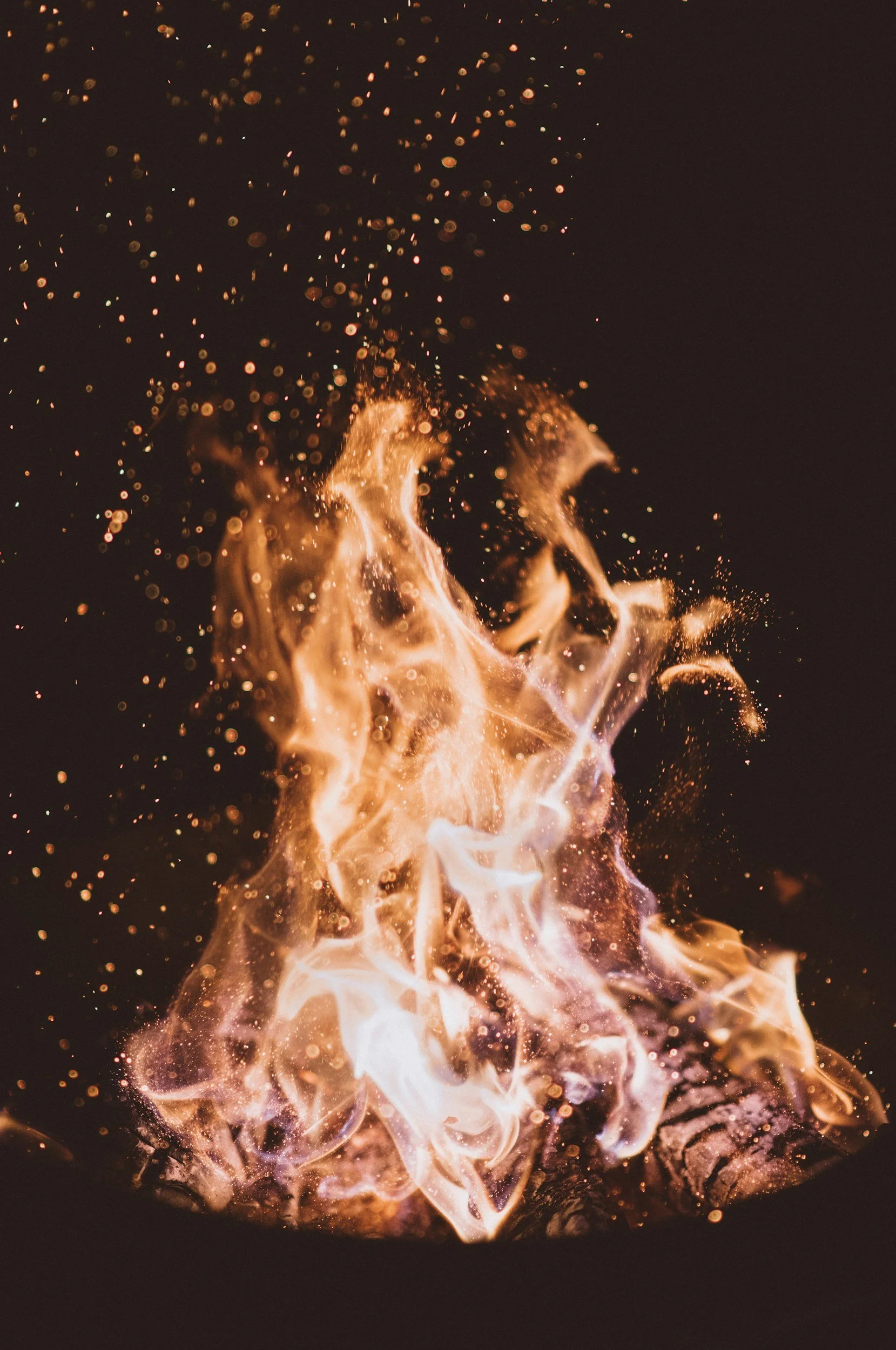 Close-up of a campfire with bright orange flames and sparks against a dark background.