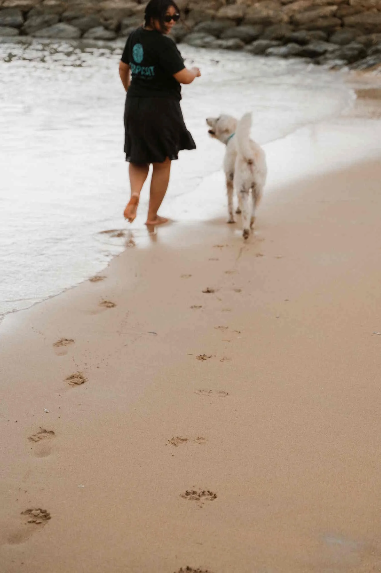 Tropicat dog walker walking on Sanur beach in Bali with a dog leaving footprints in the sand