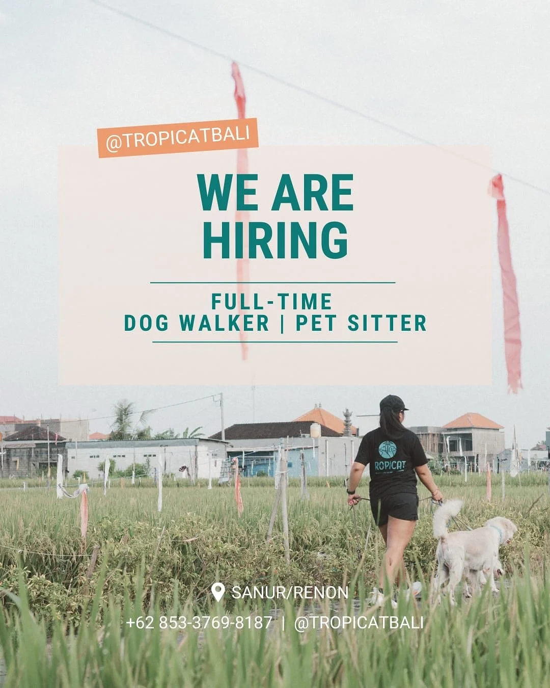 We&rsquo;re Hiring a Full-Time Dog Walker / Pet Sitter in Sanur! 🐾

Kamu suka kerja di luar ruangan dan cinta hewan?
Tropicat lagi cari orang yang:
&ndash; Punya pengalaman dengan anjing/kucing (kerja atau relawan)
&ndash; Bugar &amp; kuat jalan 10&