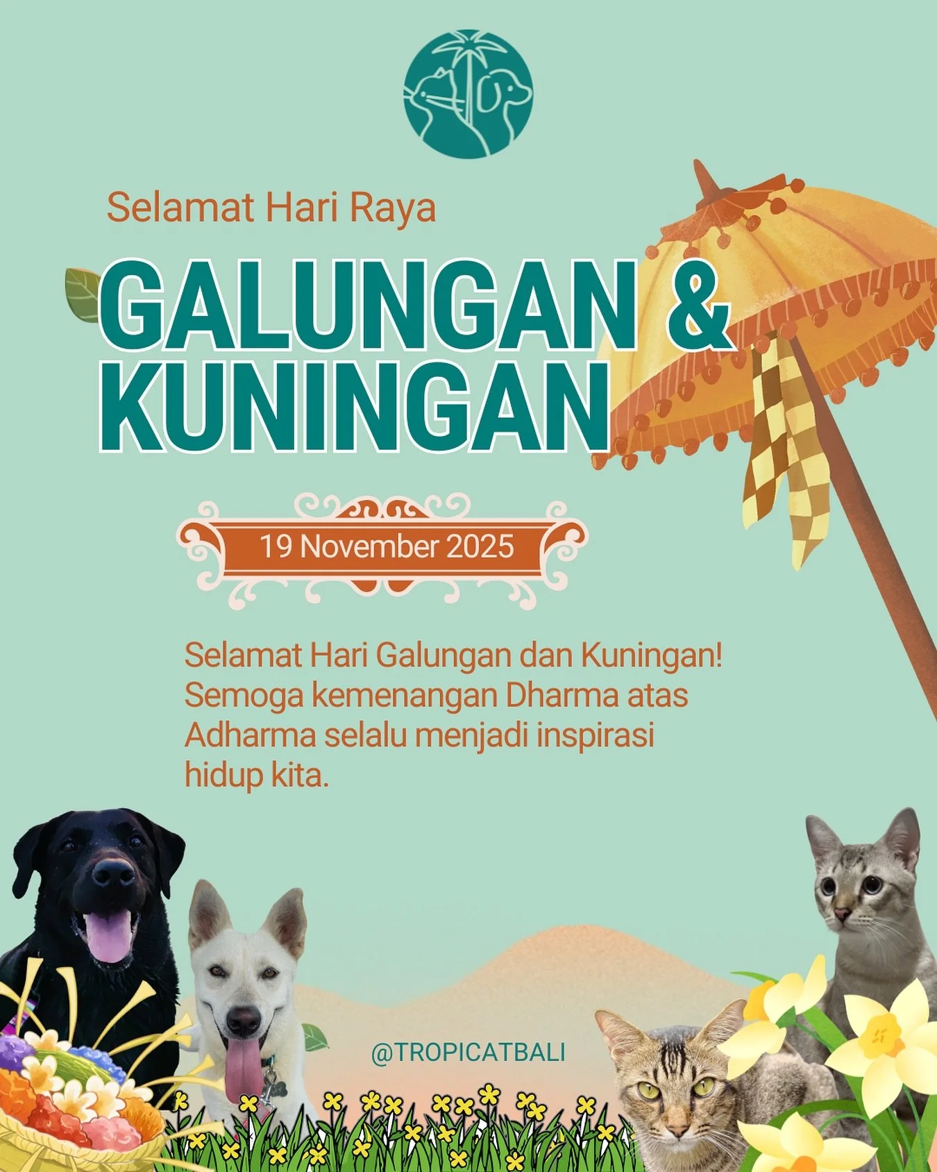 From our hearts to your homes, Happy Galungan and Kuningan. May this sacred day be filled with peace, gratitude, and cuddles with your furry friends. 🐾😇

#galungan #baliceremony #petcare #dogwalking #petsittingbali #dogwalker #balivibes #balipetsit