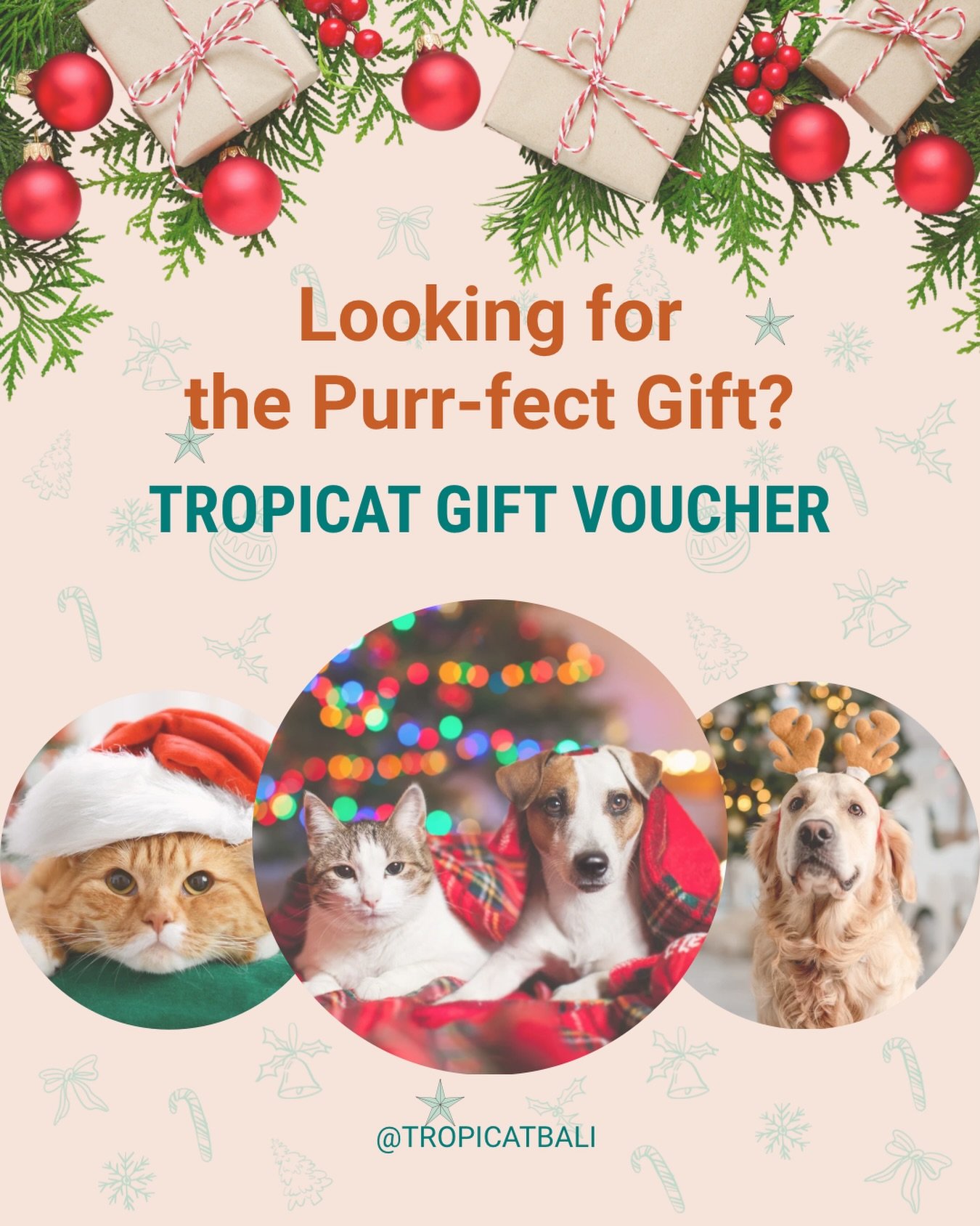 Give the gift of pet care this Christmas with our Tropicat Gift Vouchers for Pet Sitting and Dog Walking in Sanur. 
Because what could be a better gift than to make our furbabies happy? 😍🐾💖

#christmasgiftideas #happypet #furryfriend #merrychristm