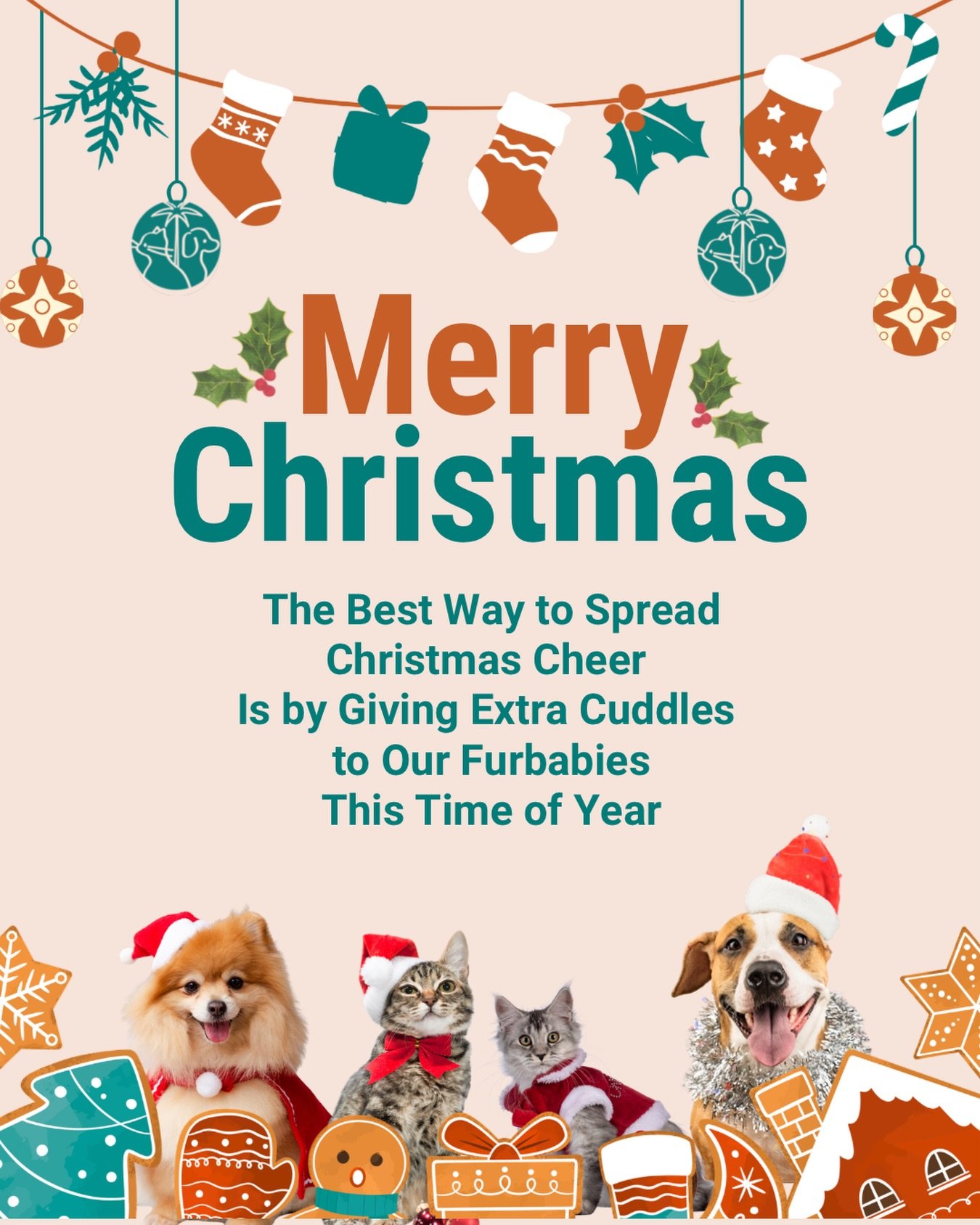 A season of warmth, love, and gentle care.
Wishing you and your fur babies a peaceful Christmas 🎄✨

#christmas #christmasiscoming #christmasday #petchristmas #happychristmas