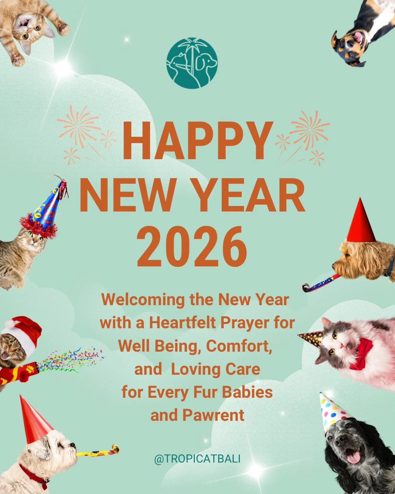 Happy New Year🥳🥳✨

#happynewyears #happyday #pethappy #new #newjourneybegins❤️