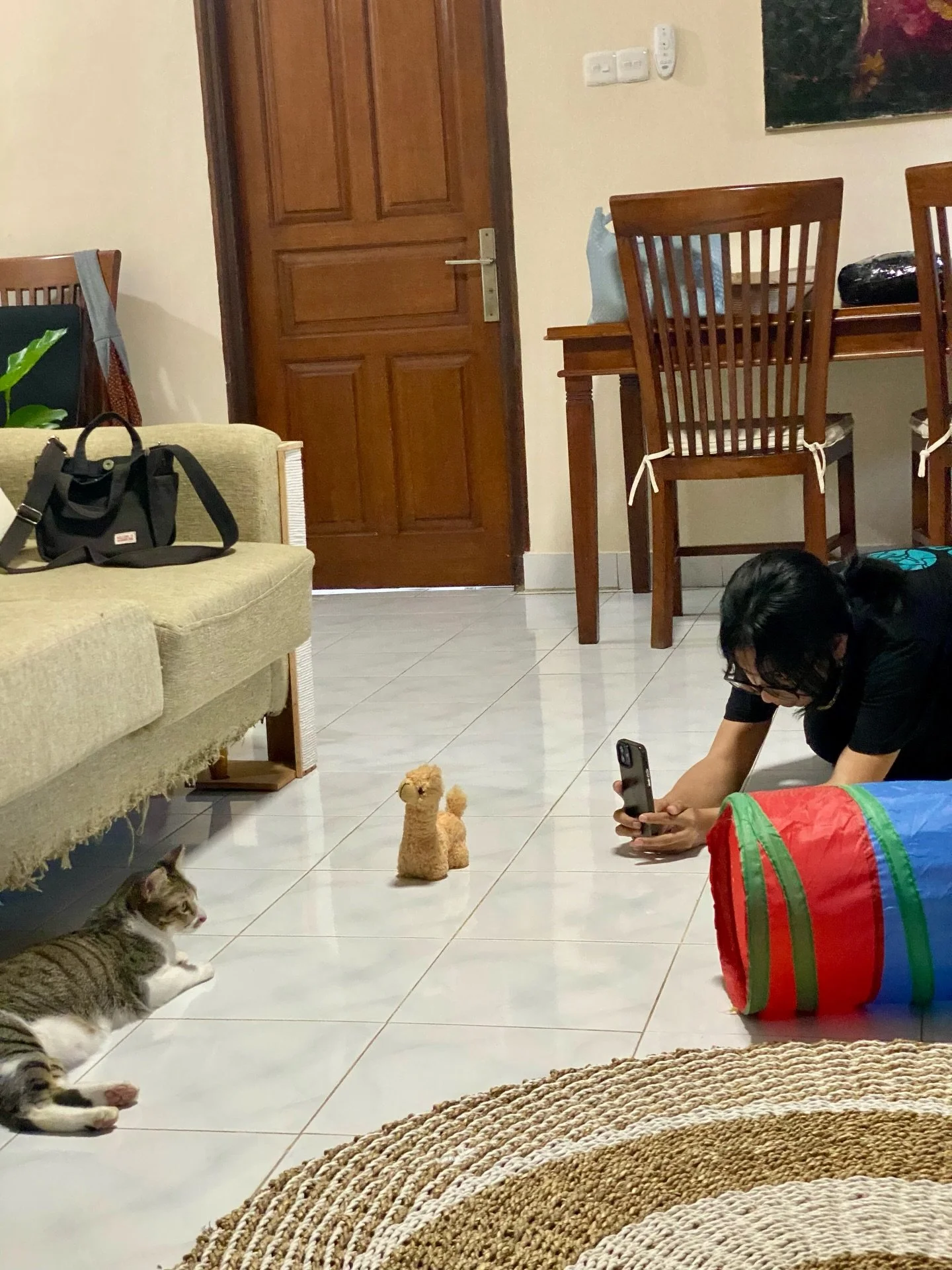 Behind the scenes ⬆️
Swipe for the result ➡️

#cat #cats_of_instagram #petcare #petsitting #petsitter