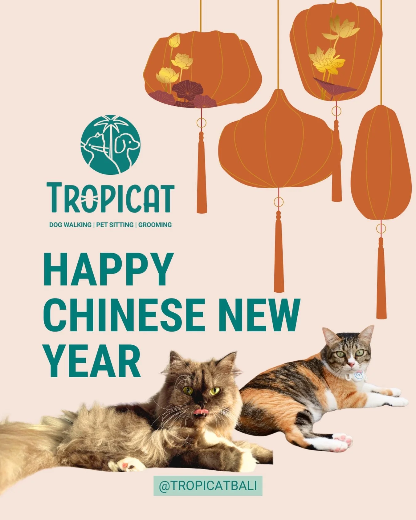 Wishing you a Lunar New Year filled with prosperity, happiness, and new beginnings for every pawrents and furry family. 🧧

#lunarnewyear #gongxiefacai #petservice #bali #petcare