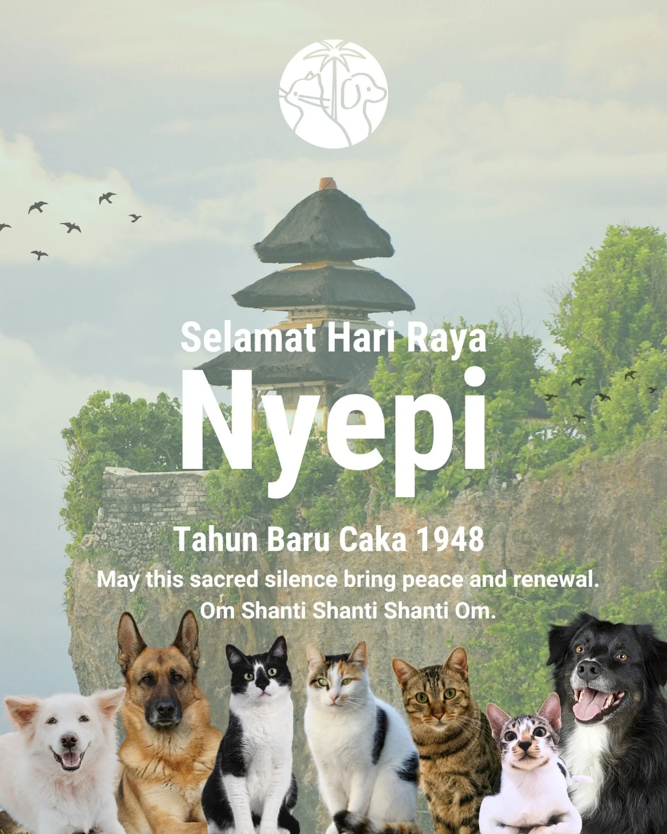 Happy Silent Day!✨

#bali #balineseculture #petcare #petservices #sanur