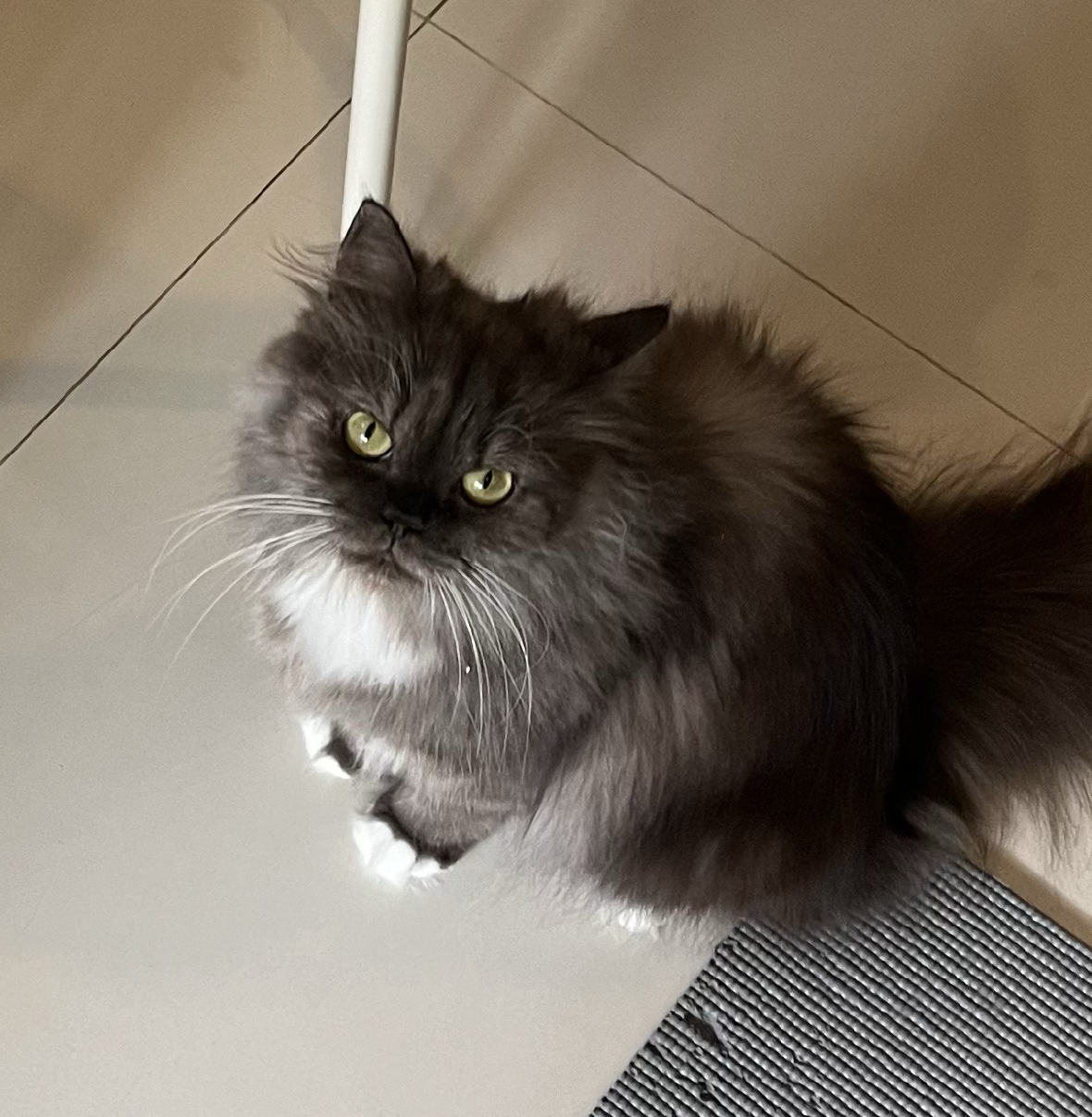 Artboard 61 copyTesti Pic.png