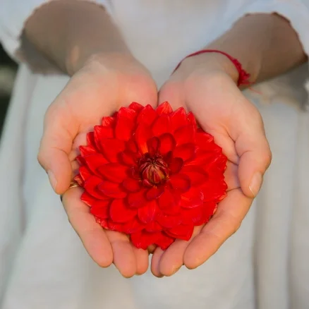 dsc3204.webp