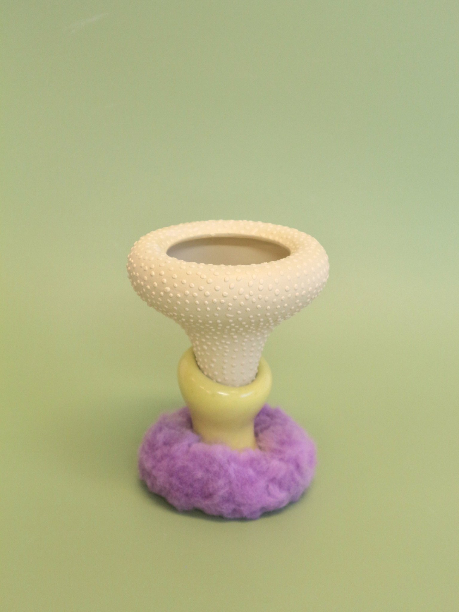 Salty Fairy Ring #1