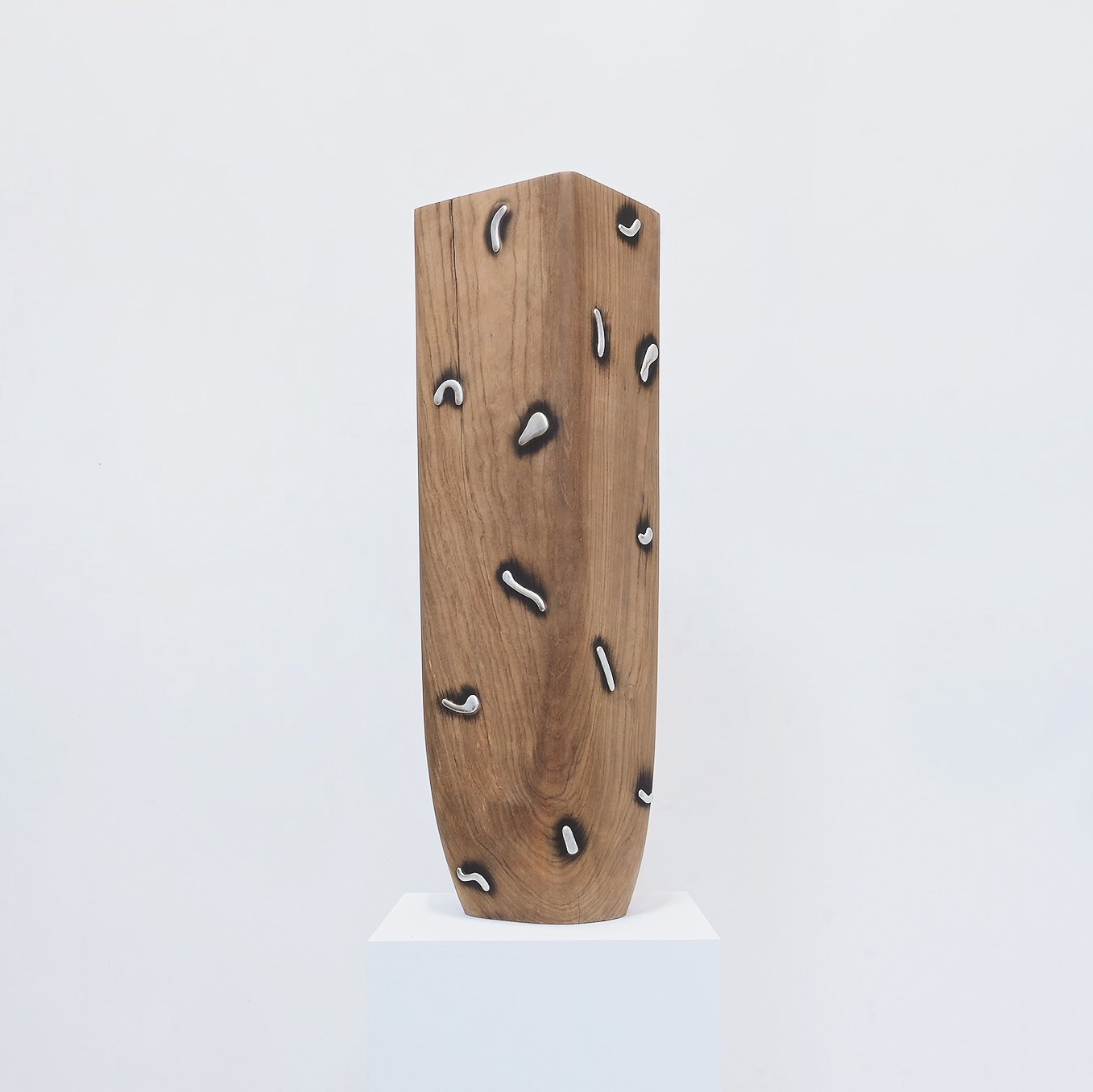 THE DESTRUCTIVE BEATUY OF WOOD