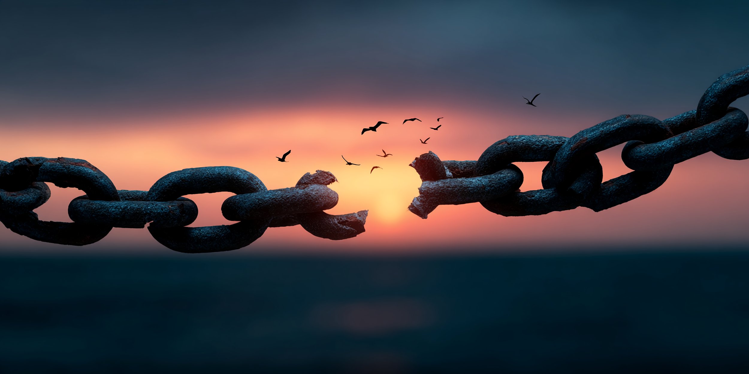 From Prison to Palace: Unpacking God's Wisdom in Genesis 41