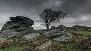 dartmoor).jpg