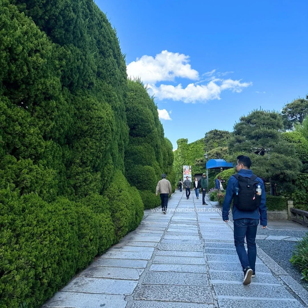 A man walking past a lush wall of greenery on the way to Kurashiki Ivy Square