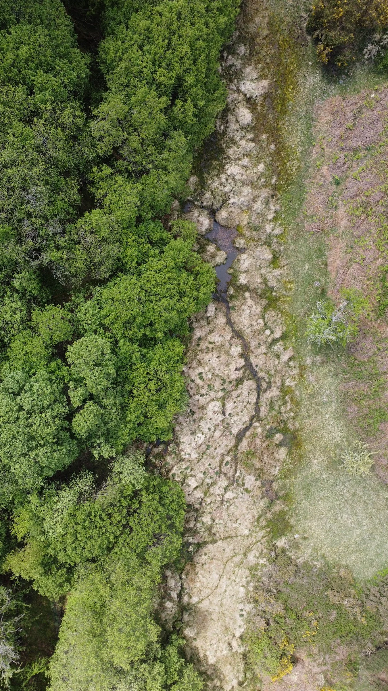 DJI_0515.jpeg