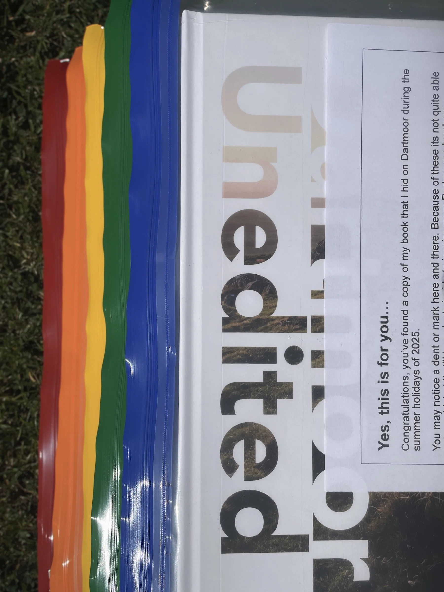 Some of my books temporarily live in Dartmoor National Park…