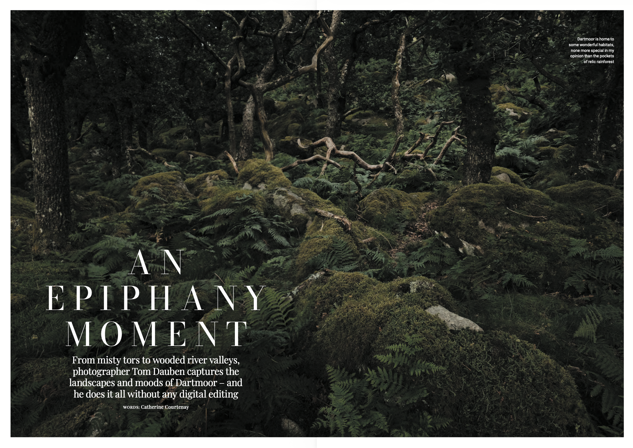 Devon Life Magazine Article