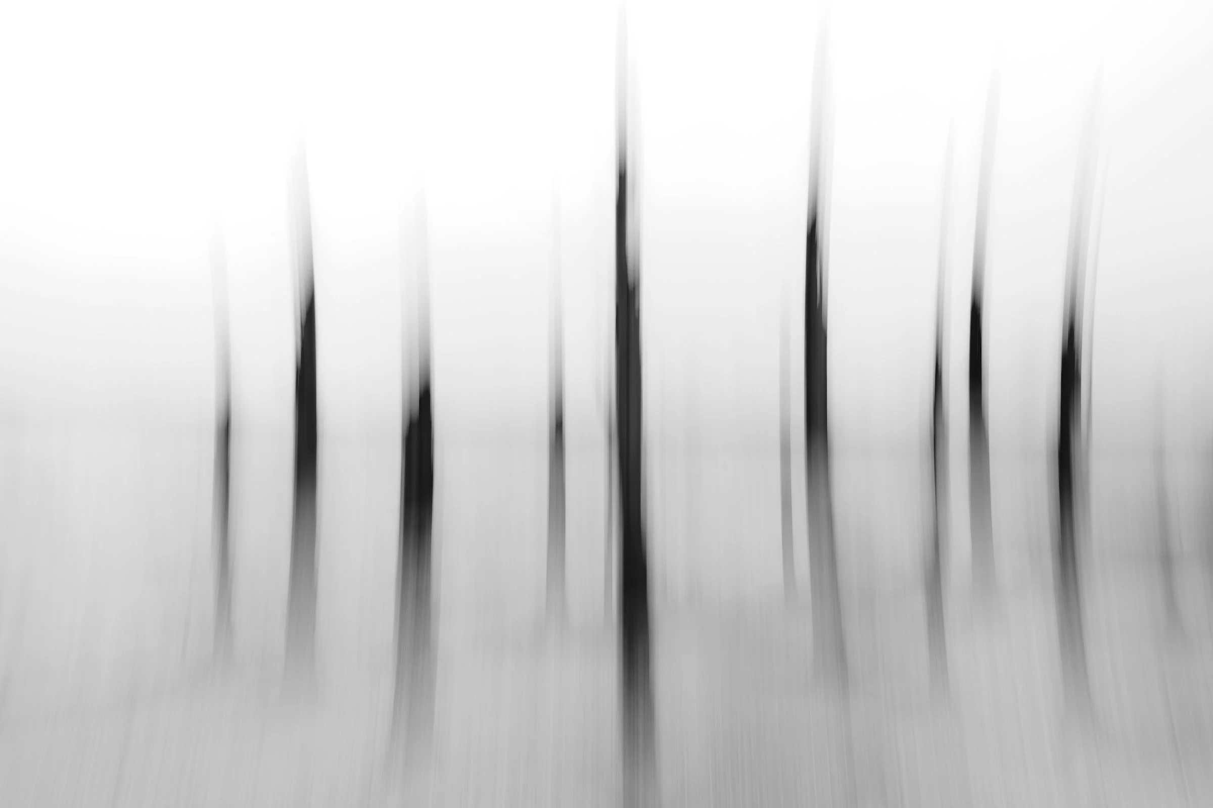 What did I learn about photography in 2025?